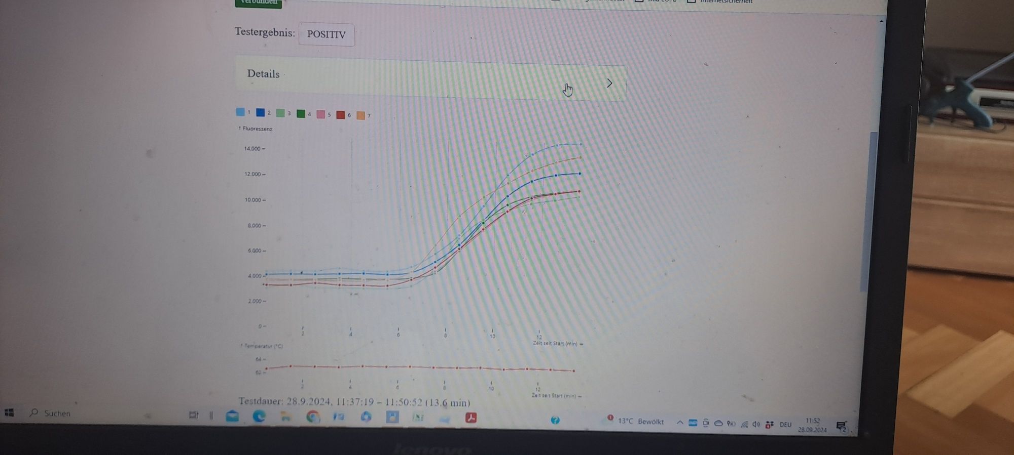 Pluslife Einzeltest positiv