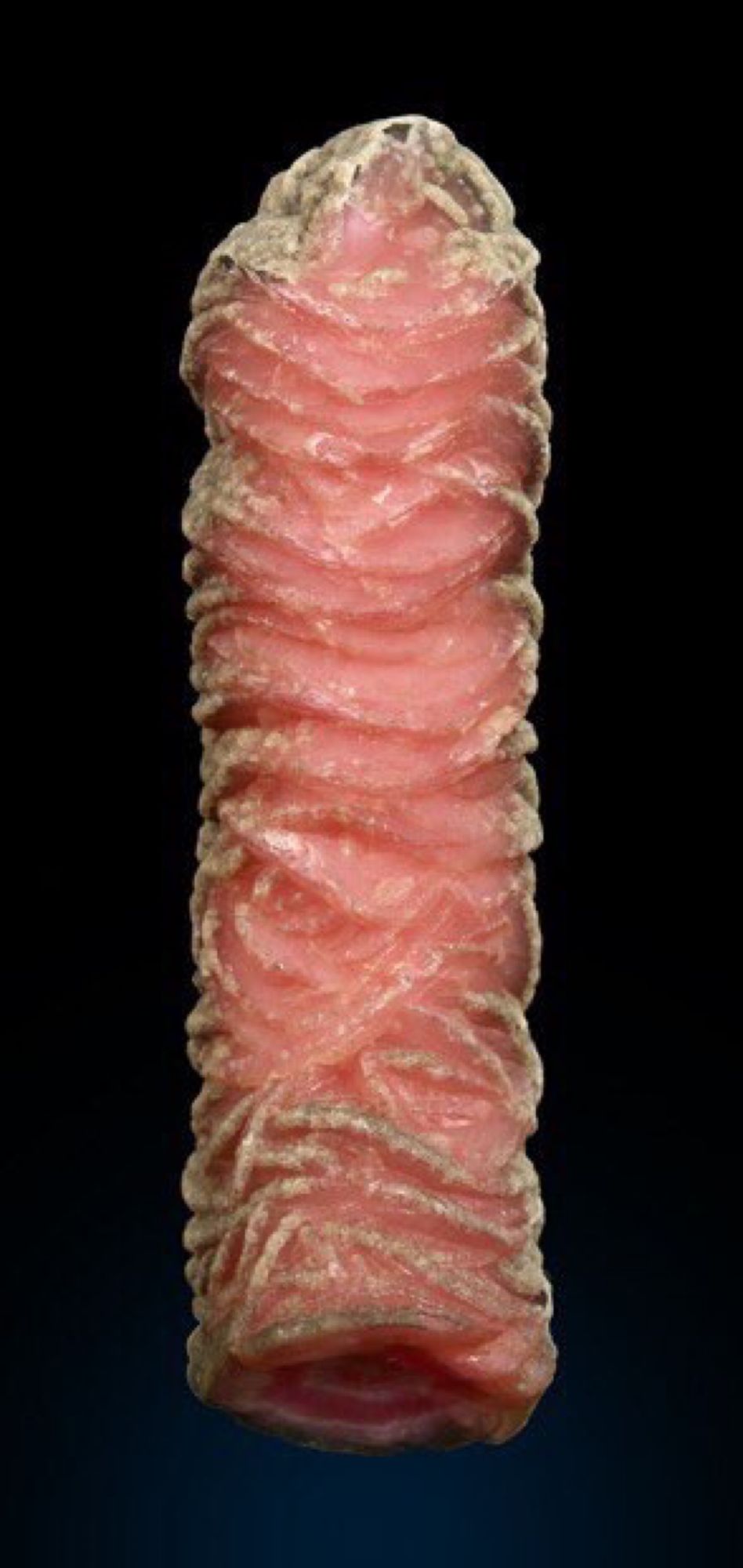 Long cylindrical pink shaft with swirling texture