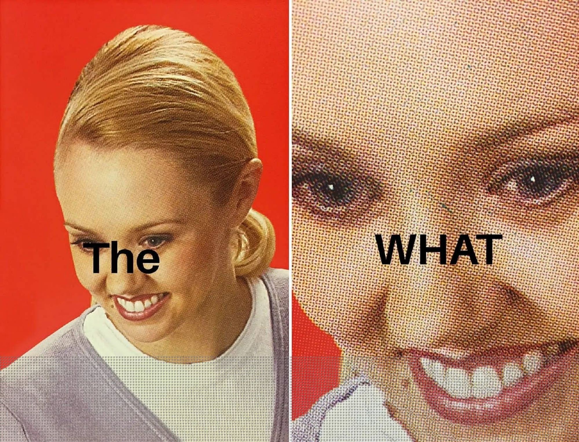 Meme from an old advert with the words "The WHAT" over a photo of the woman looking uncomfortable