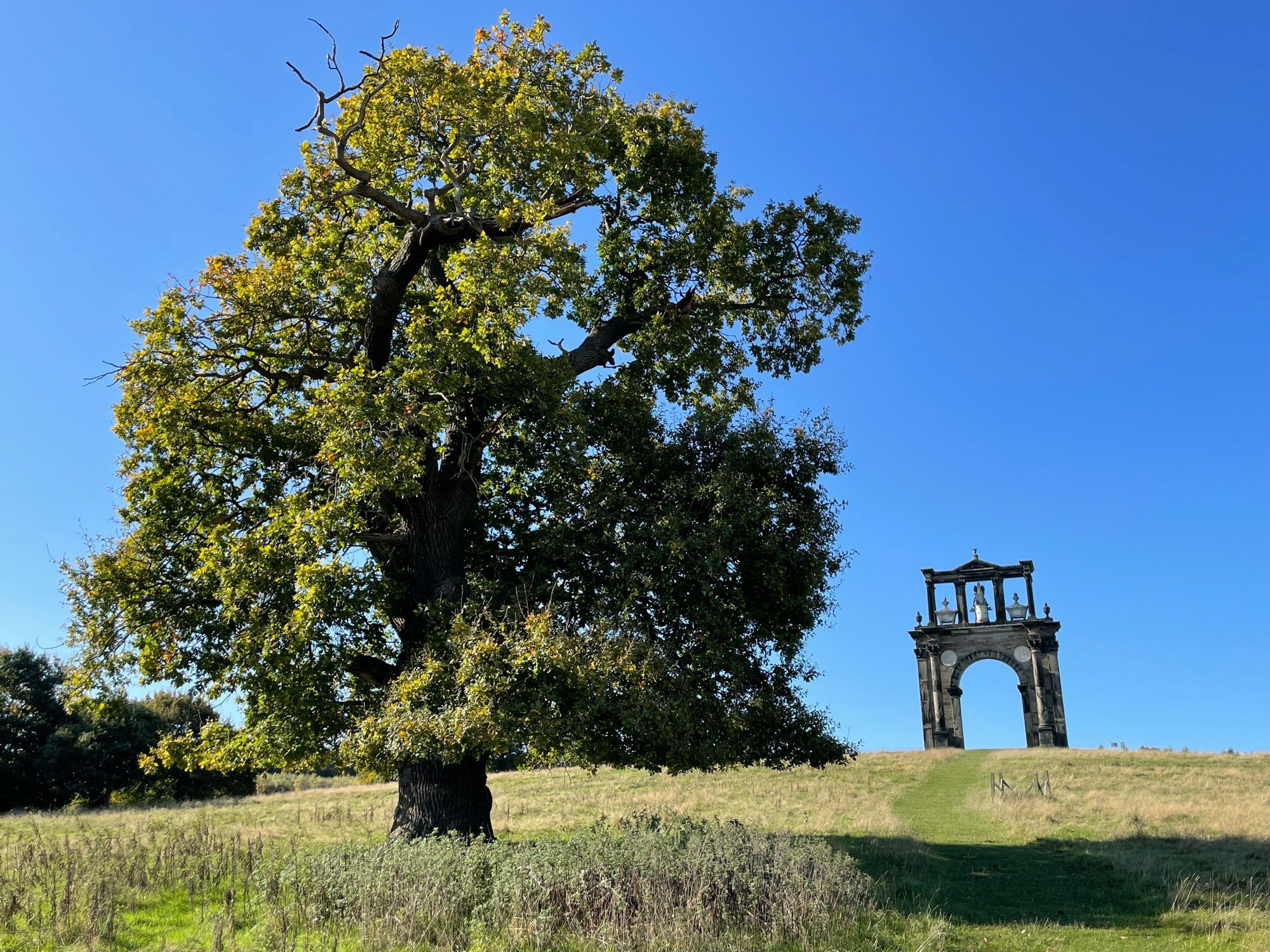 View of Hadrian’Arch, looking up the hill with oak 1242 in the foreground, left.