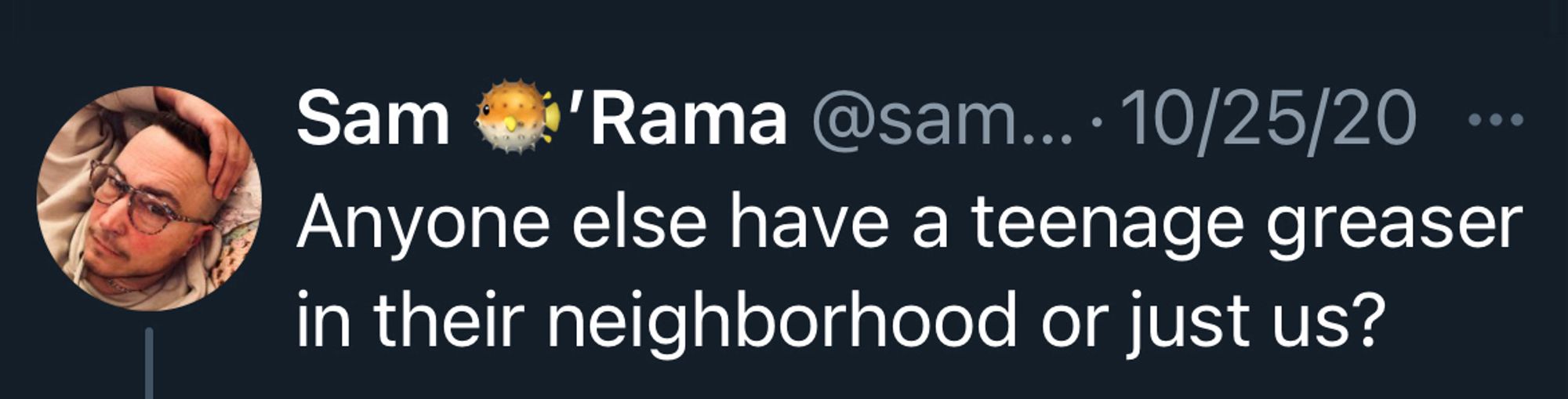 Twitter screen shot

SamORama @sam... • 10/25/20
• • •
Anyone else have a teenage greaser in their neighborhood or just us?