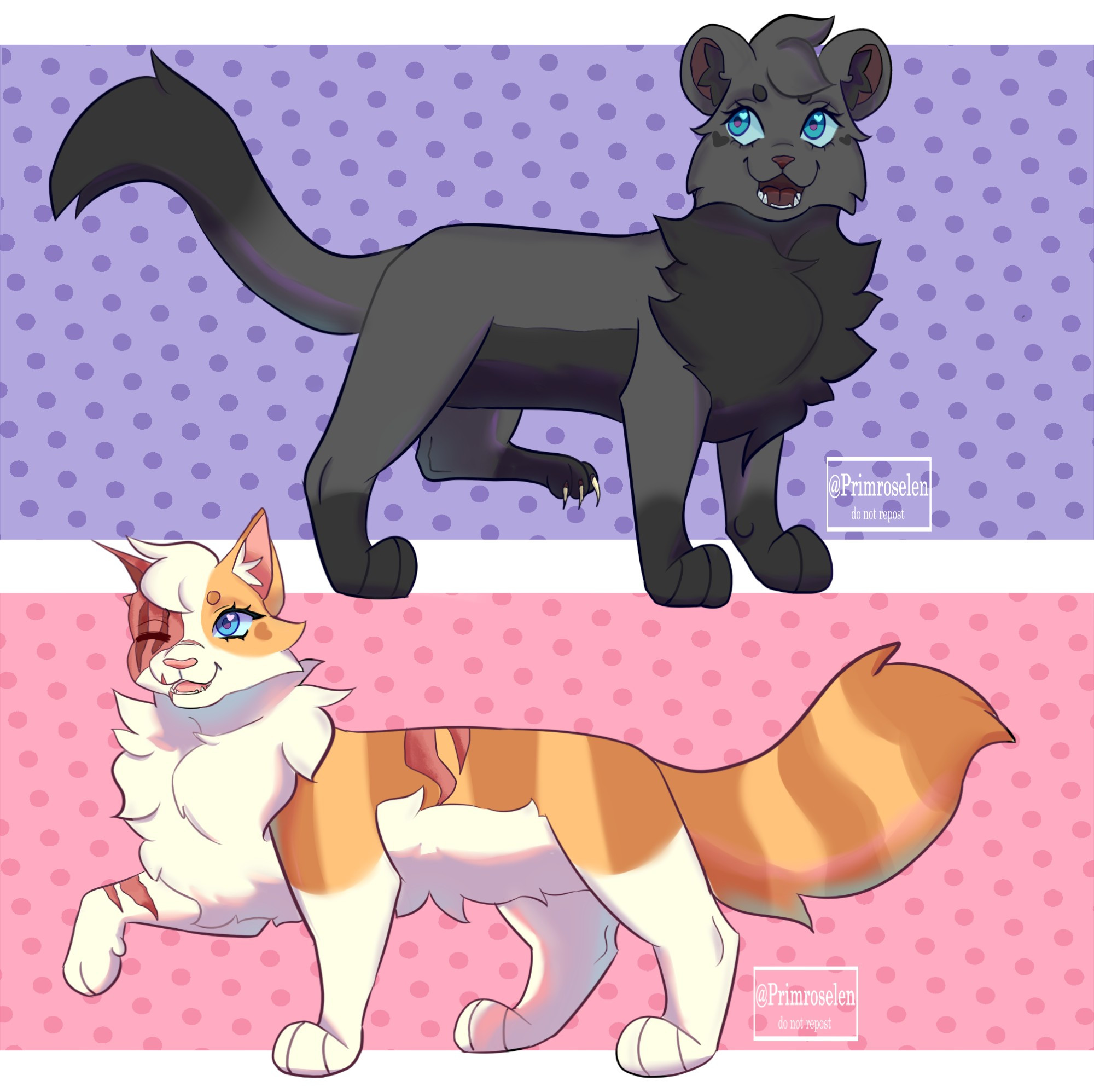 -fullbody cinderpelt. Dark gray she-cat, blue eyes.
-fullbody brightheart. Ginger and white she-cat