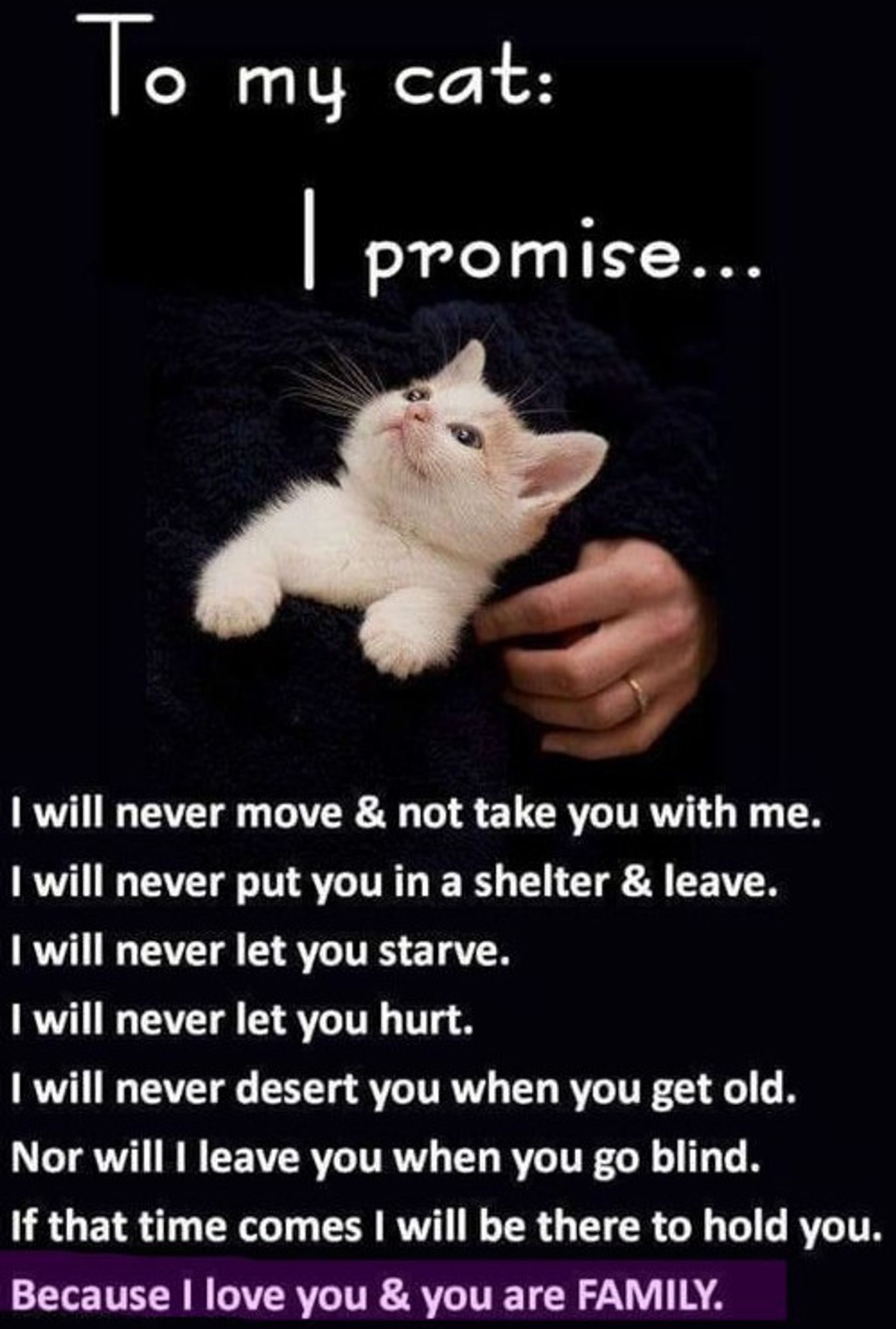 A picture of a white kitten and above the kitten it says: To my cat I promise...
I will never move & not take you with me.
I will never put you in a shelter & leave.
I will never let you starve.
I will never let you hurt.
I will never desert you when you get old.
Nor will I leave you if you go blind.
If that time comes I will be there to hold you.
Because I love you & you are family.