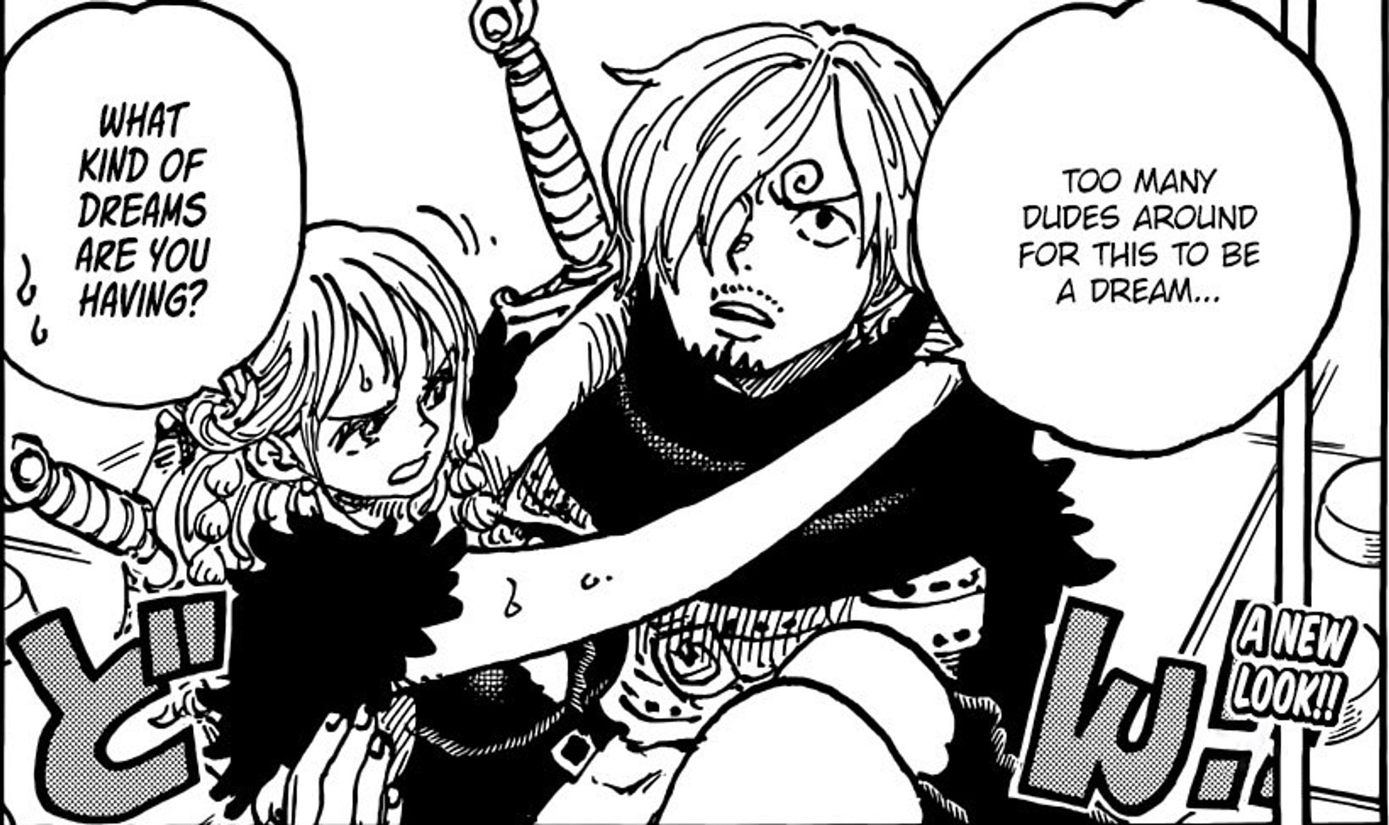 Sanji: Too many dudes around for this to be a dream…
Nami: What kind of dreams are you having?