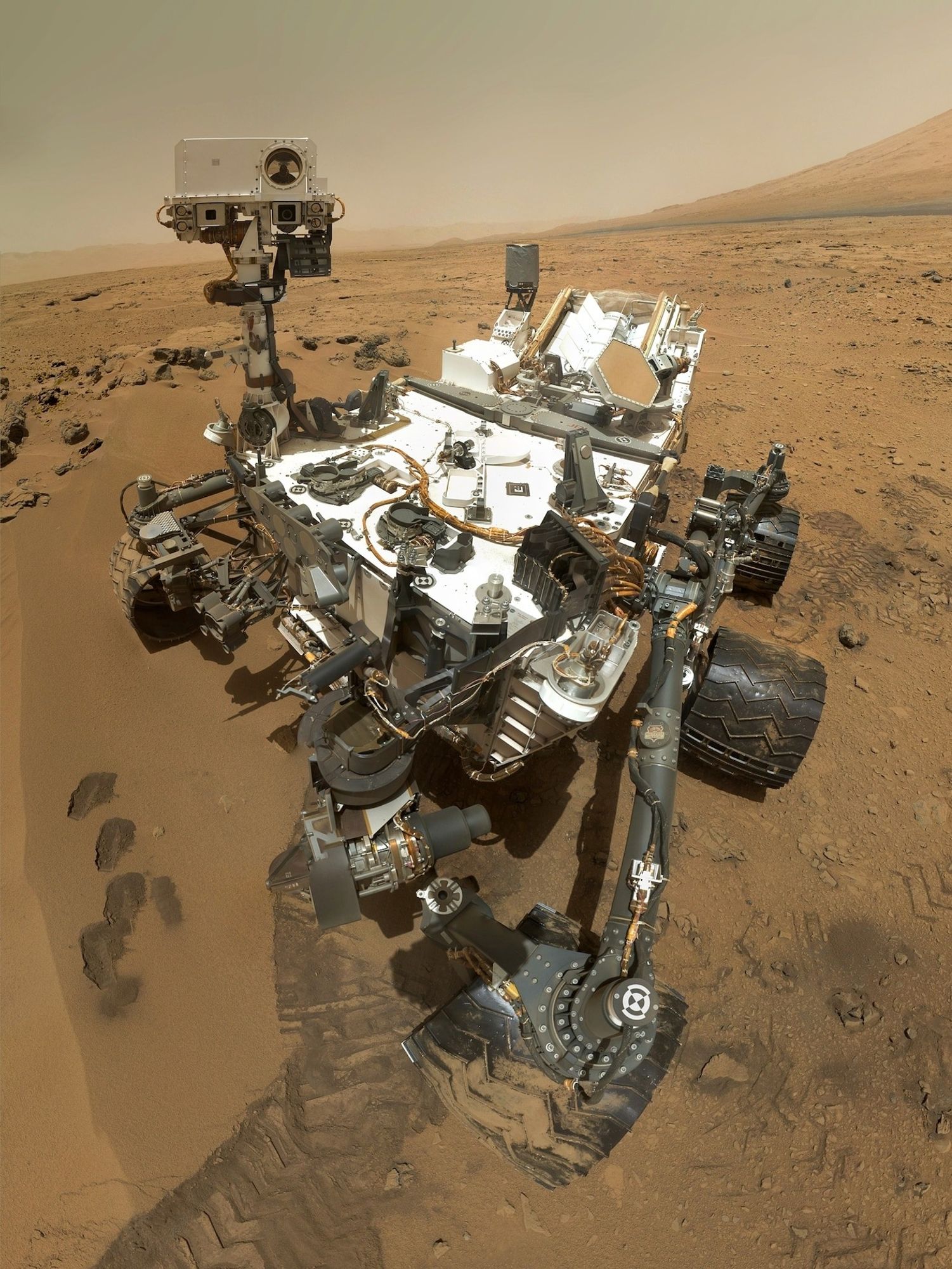 Curiosity selfie