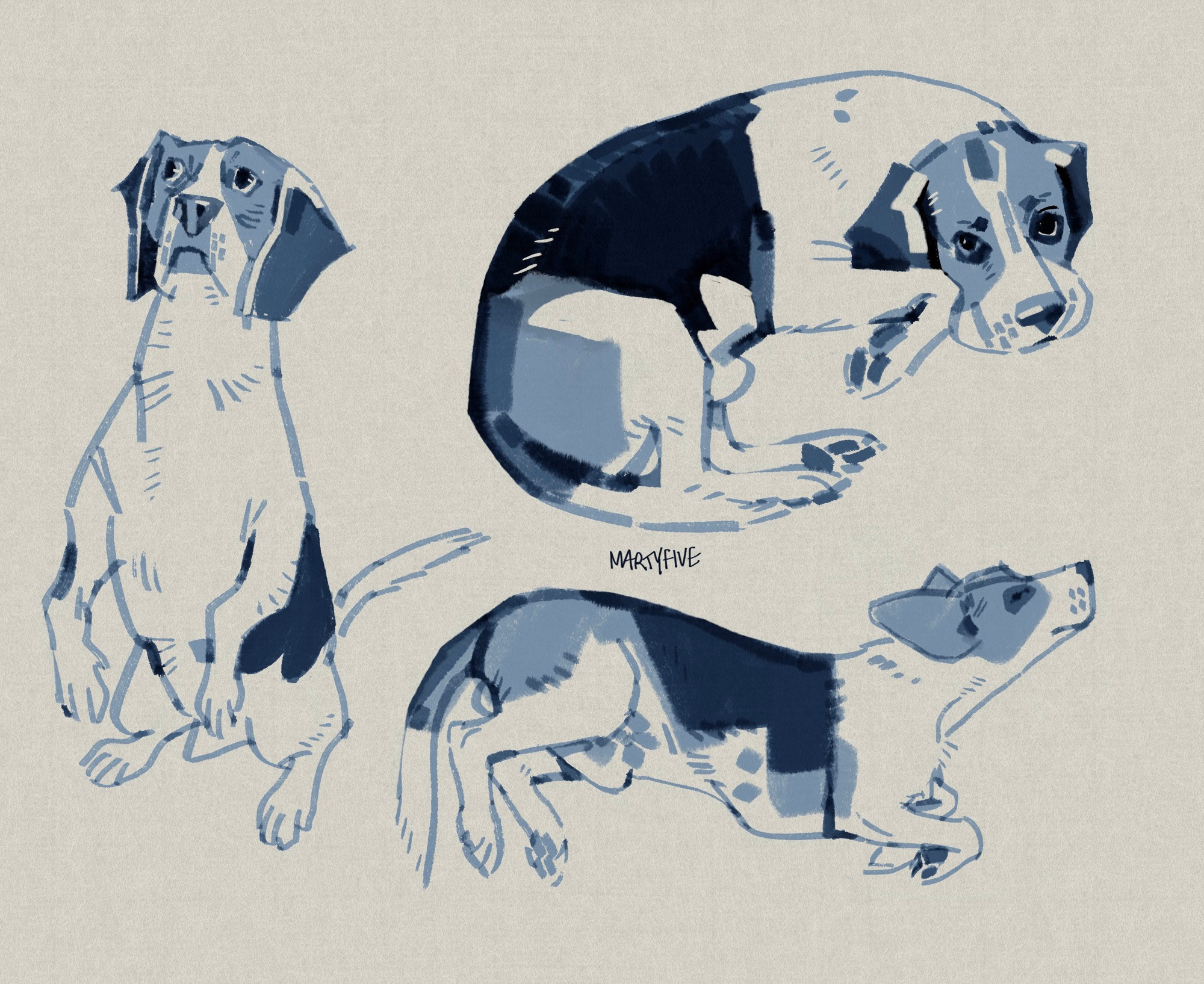 three sketches of my beagle, Bucky. he’s posing, asking for snacks, eyes wide and begging; he is lying curled into a ball, eyes sad like no one loves him (LIES); and he is lying on his side, stretched out, his ear thrown back. 