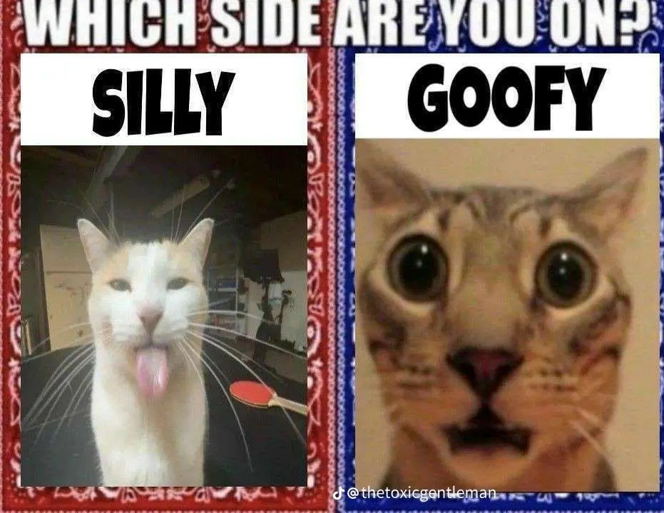 What side are you on? Silly or goofy?