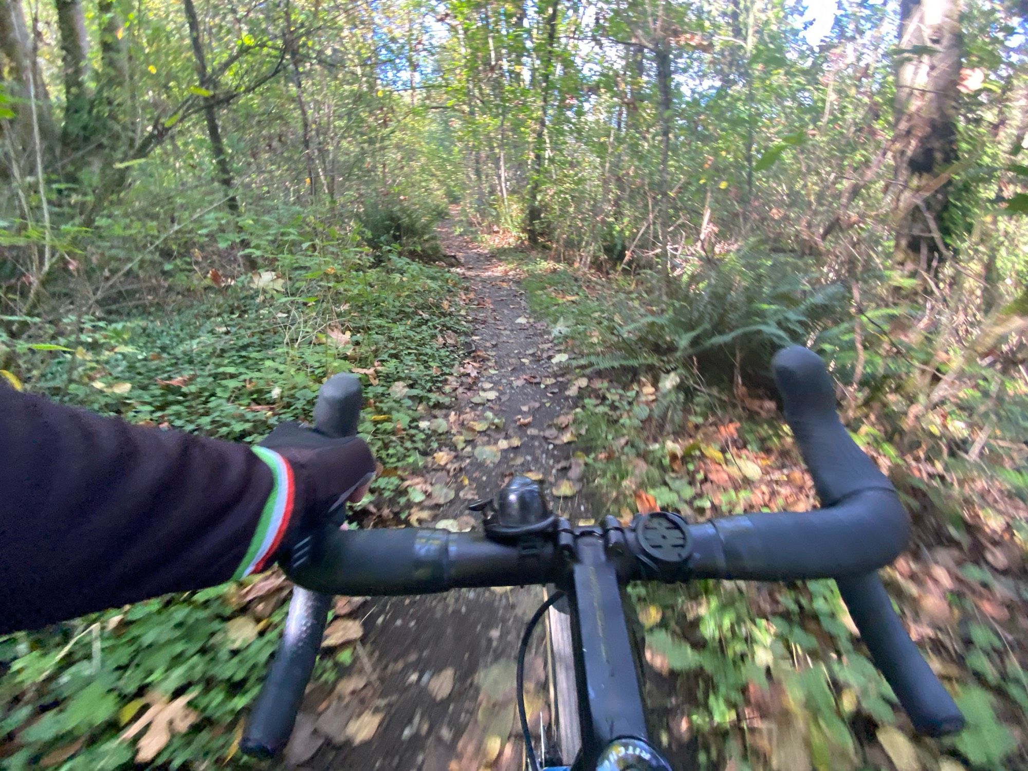 A riders-eye view over a set of bicycle handlebars with a forest trail ahead. A sunny day and the leaves are just starting to turn.