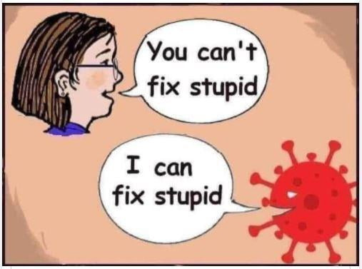 Person saying, "You can't fix stupid" COVID virus responding, "I can fix stupid"