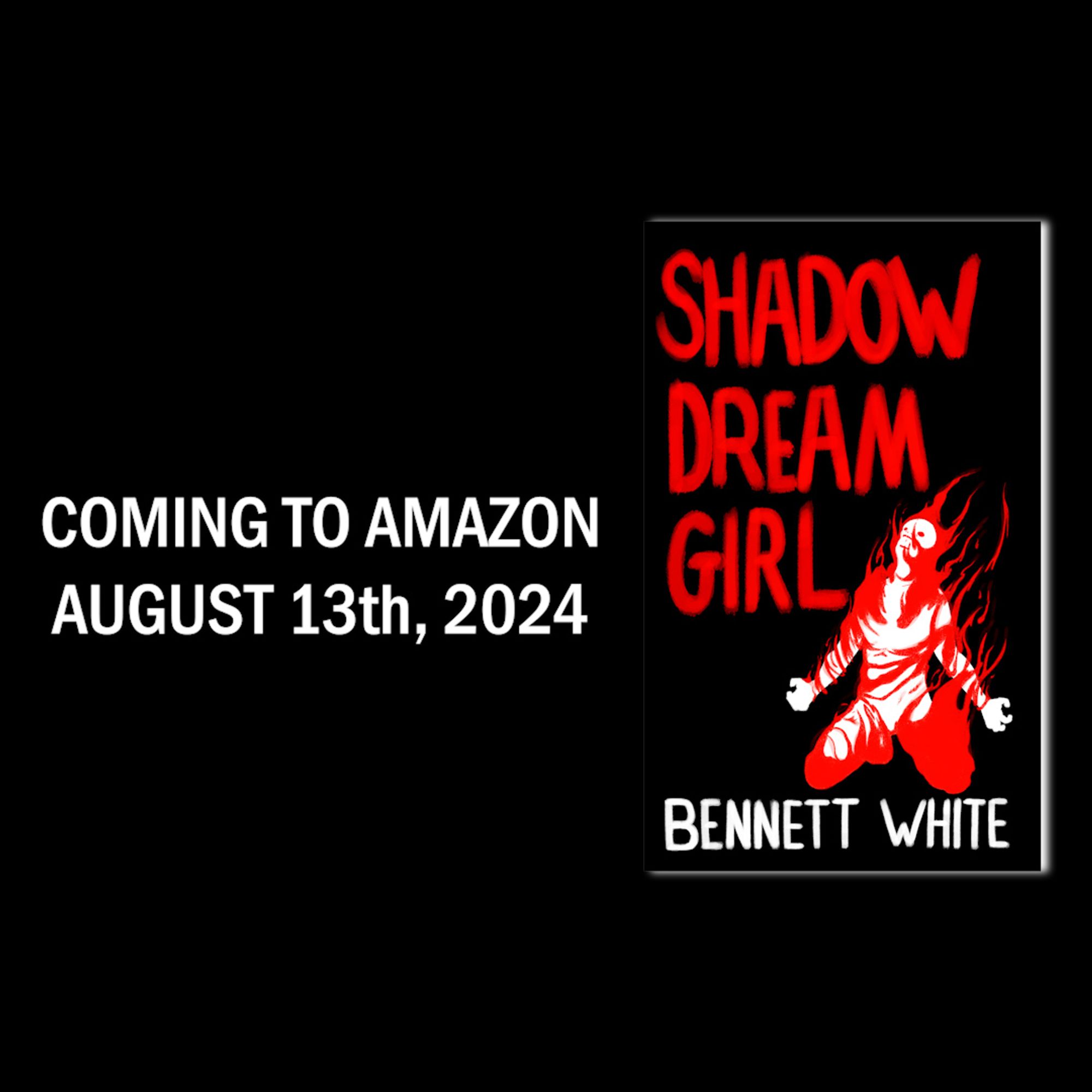 A promo image of the novel cover of Shadow Dream Girl, and the date of its official release, August 13th, 2024.