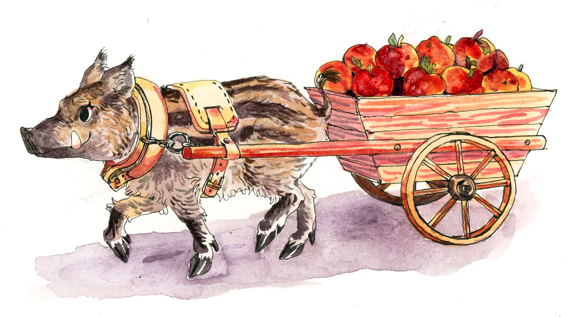 a watercolor of a happy, determined looking boar hauling a cart full of apples