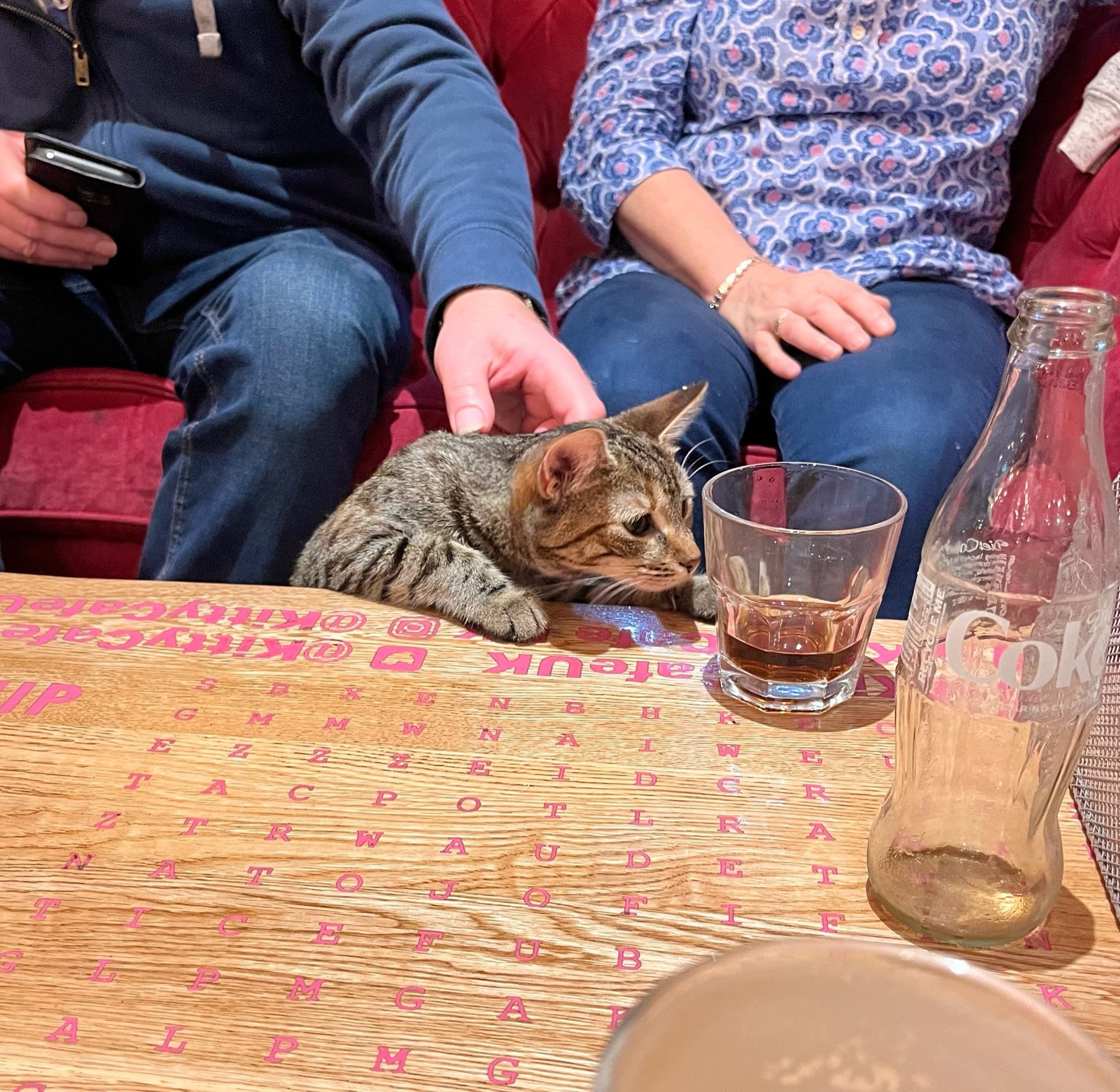 A light tabby cat with two paws up in a table, sniffing a glass of coke