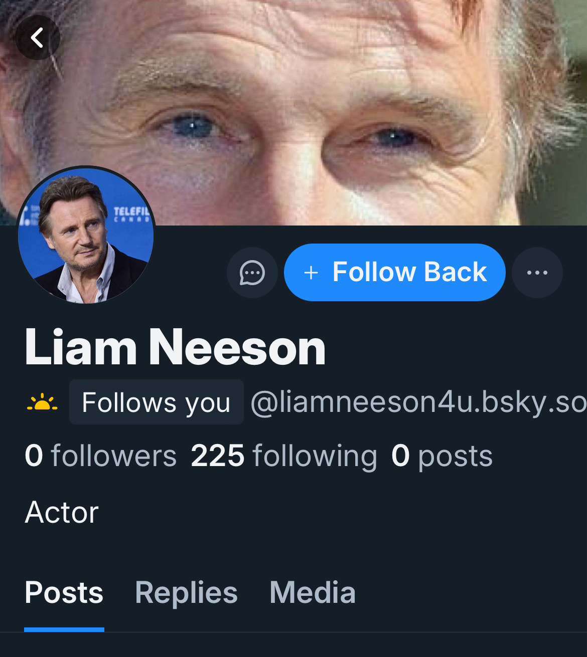 Fake Liam Neeson