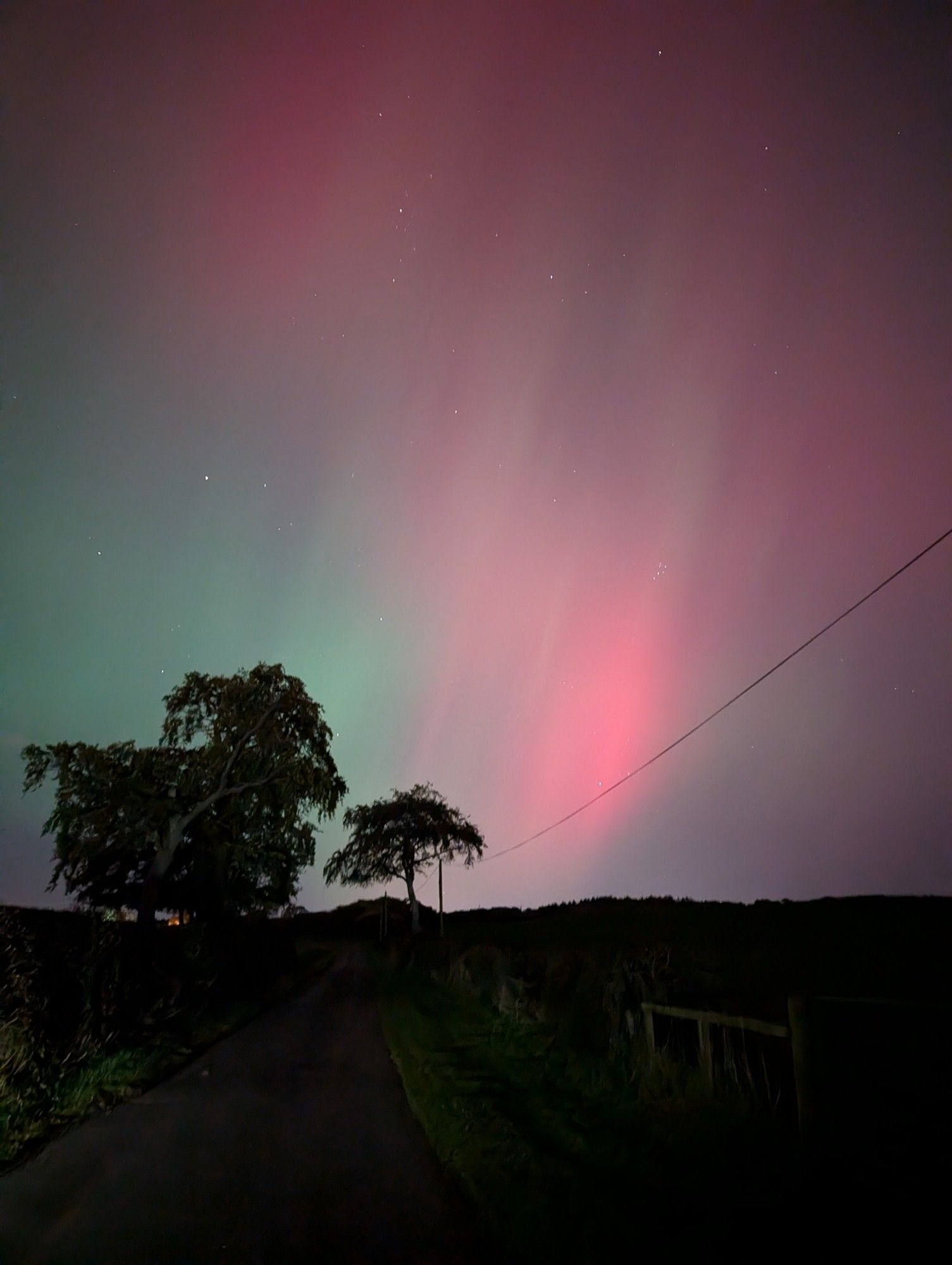 A photo of the night sky with the silhouette of some trees on the horizon, to the left. The sky shows some red and green aurora.