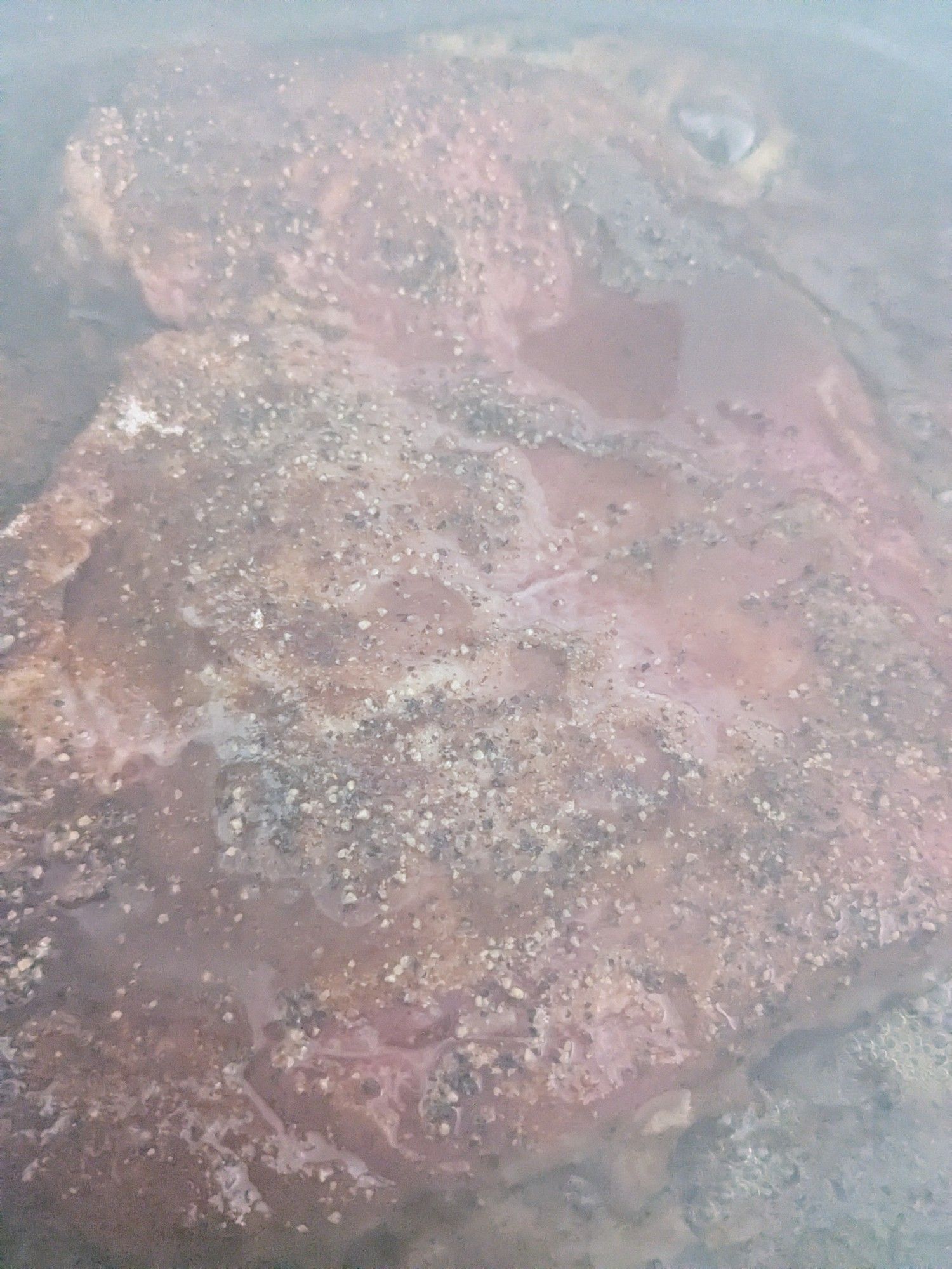 A raw sirloin covered in seasoning being cooked on the pan. Aroma filled steam and smoke rising causing a slight haze affect in the photo.