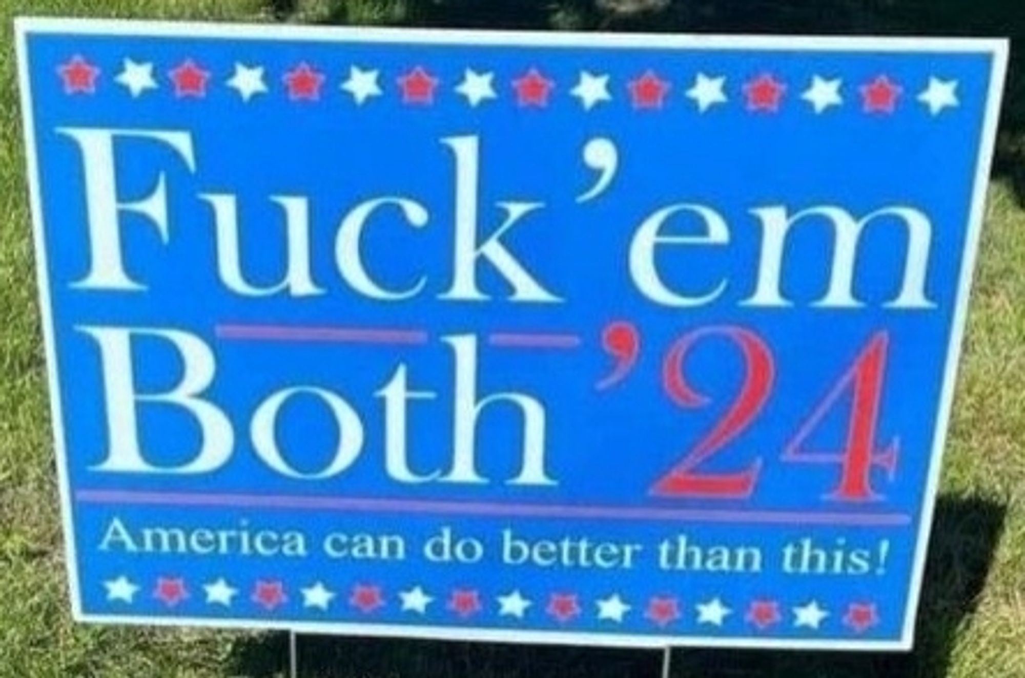 Fuck Em Both 24' lawn placard