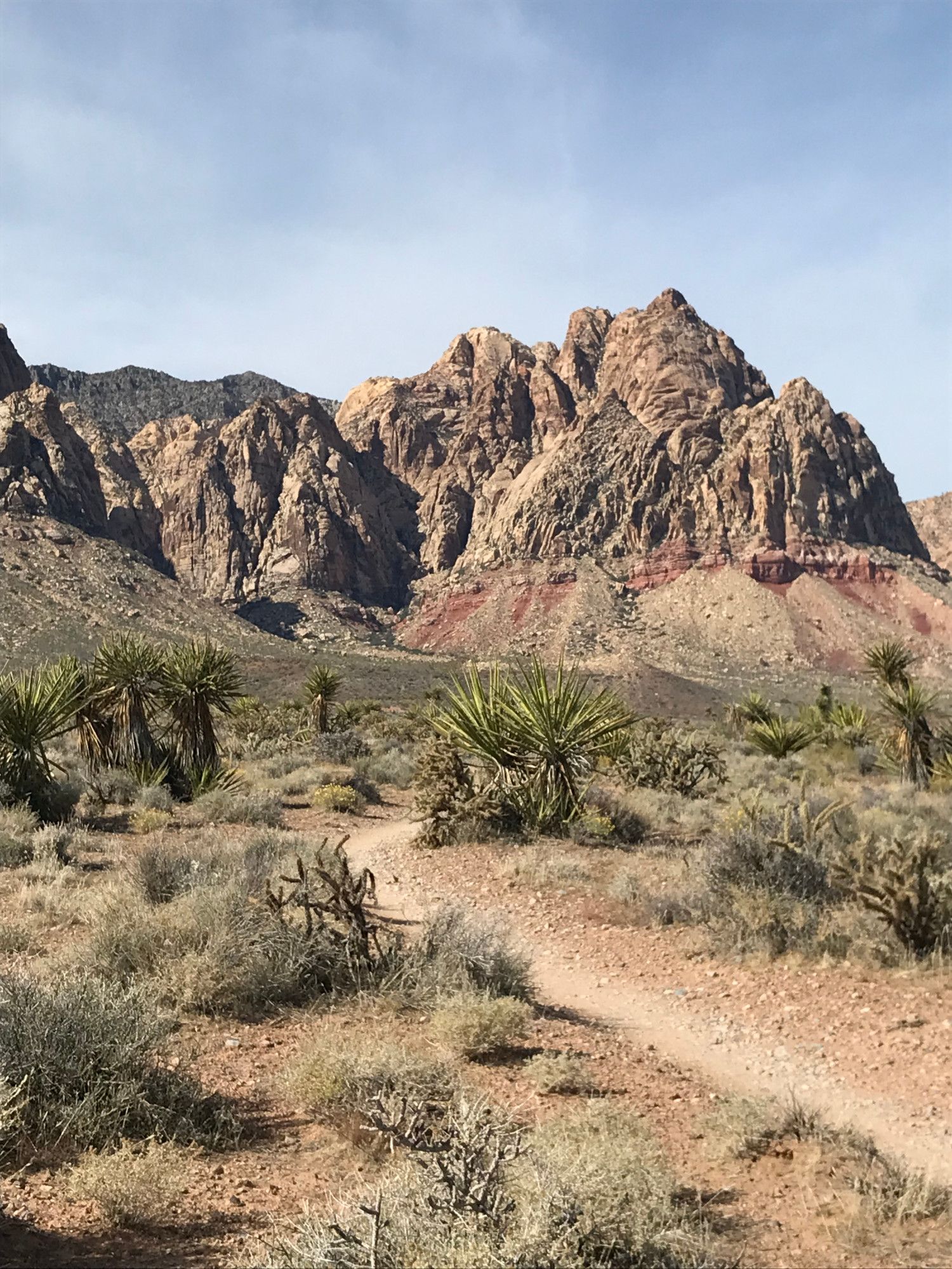 Mustang Trail with Spring Mountains in the background.