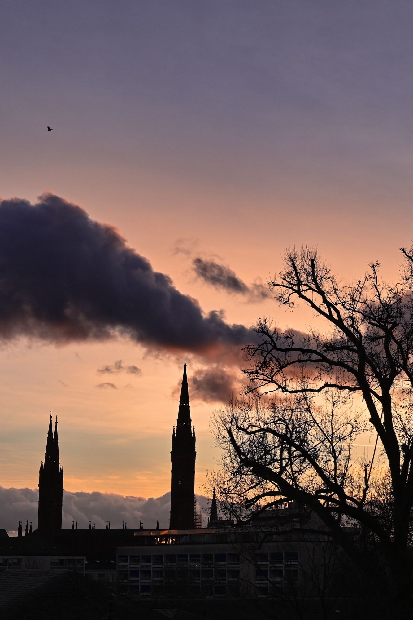 Silhouette of a cityscape at sunset featuring prominent church spires, dark trees in the foreground, and a dramatic sky shaded in pink and blue. A single bird is in flight against the sky.