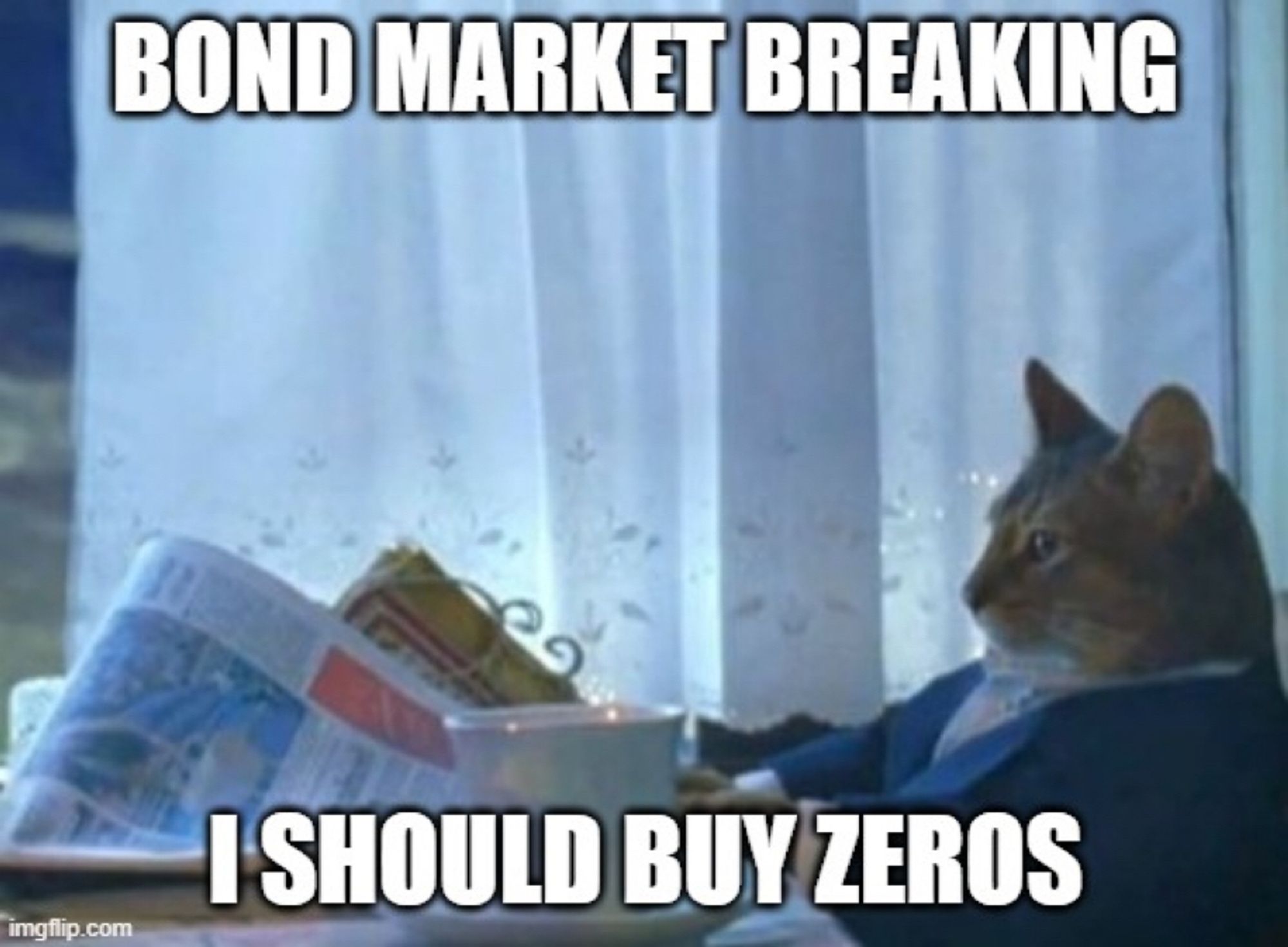 Thinking cat meme “Bond market breaking / I should buy zeros”