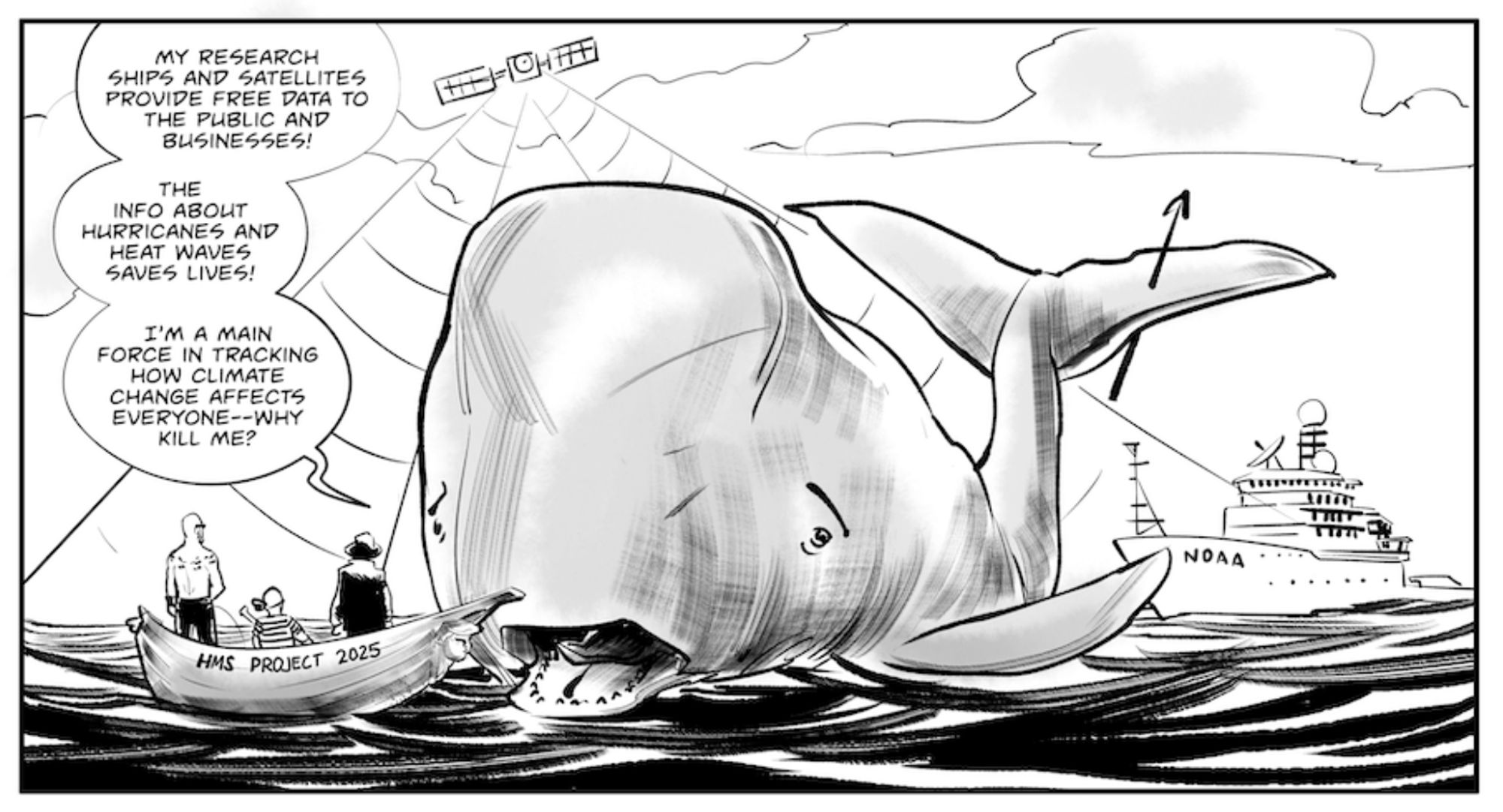 Panel from the Stop Project 2025 comic

PAGE TWO

Panel 1

The whale, enormous, sits on top of the water, the harpoon still in its tail. To its left is the boat with the three whalers, who look very small in comparison. To the whale’s right, we see a NOAA research ship, with radio and satellite equipment, and a satellite hovers above the whale.

WHALE: My research ships and satellites provide free data to the public and businesses! The info about hurricanes and heat waves save lives! I’m a main force in tracking how climate change affects everyone–why kill me?