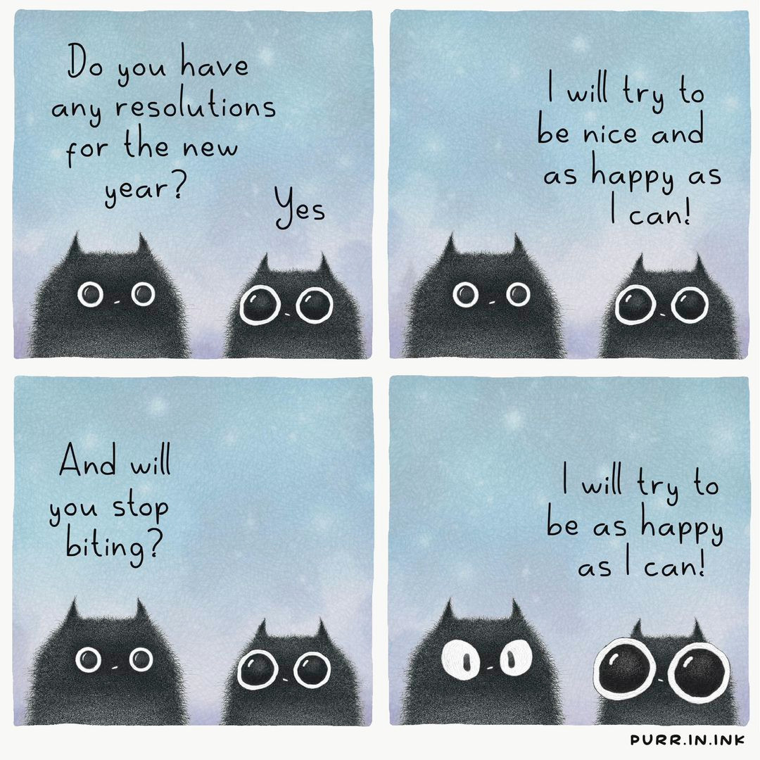 Comic strip featuring two cats:
panel 1: do you have any resolutions for the new year.
Panel 2: I will try to be nice and as happy as I can.
Panel 3: And will you stop biting?
Panel 4: I will try to be as happy as I can!