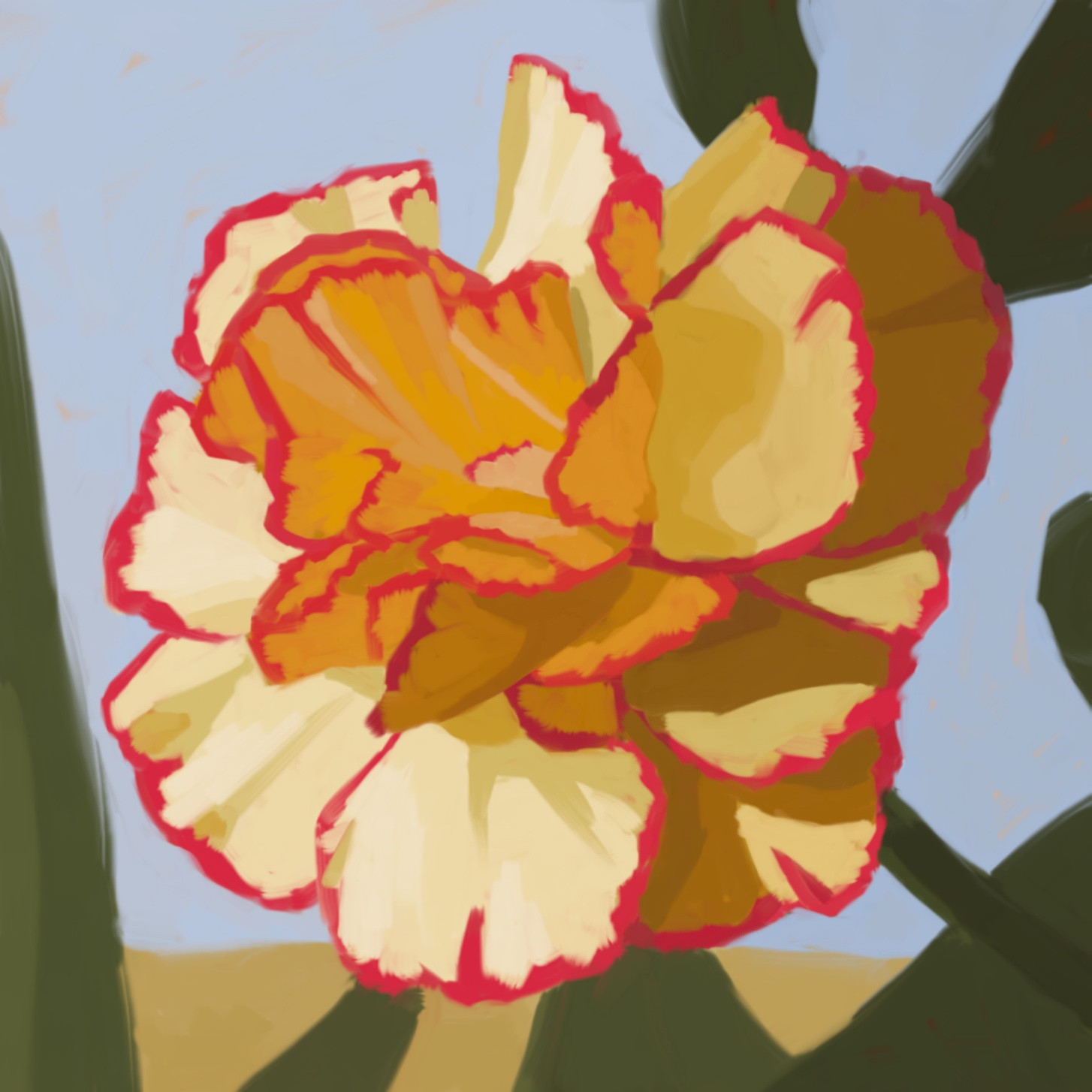 Digital painting of a yellow carnation with red edges