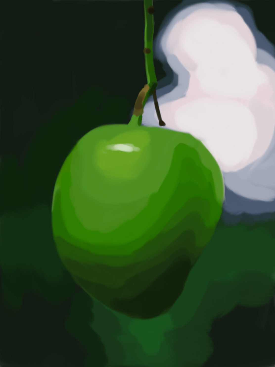 Digital painting of a green mango in dim light with a blurred background