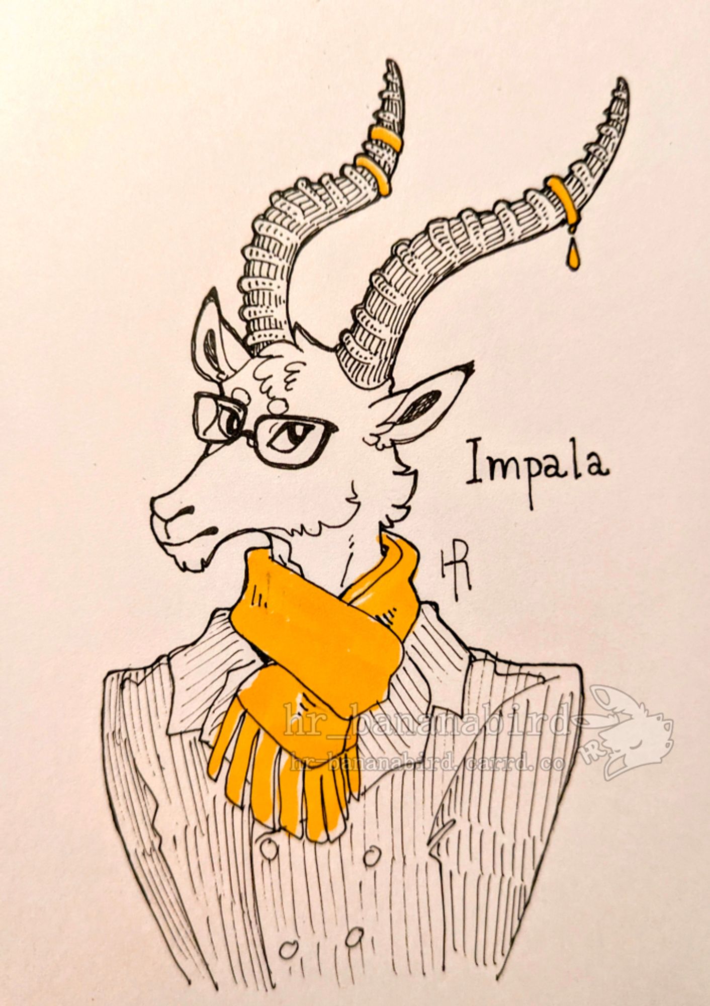 Traditional pen art of an anthro impala man with square glasses, a yellow scarf and a black coat. He has a pair of long horns with a few gold accessories on it.