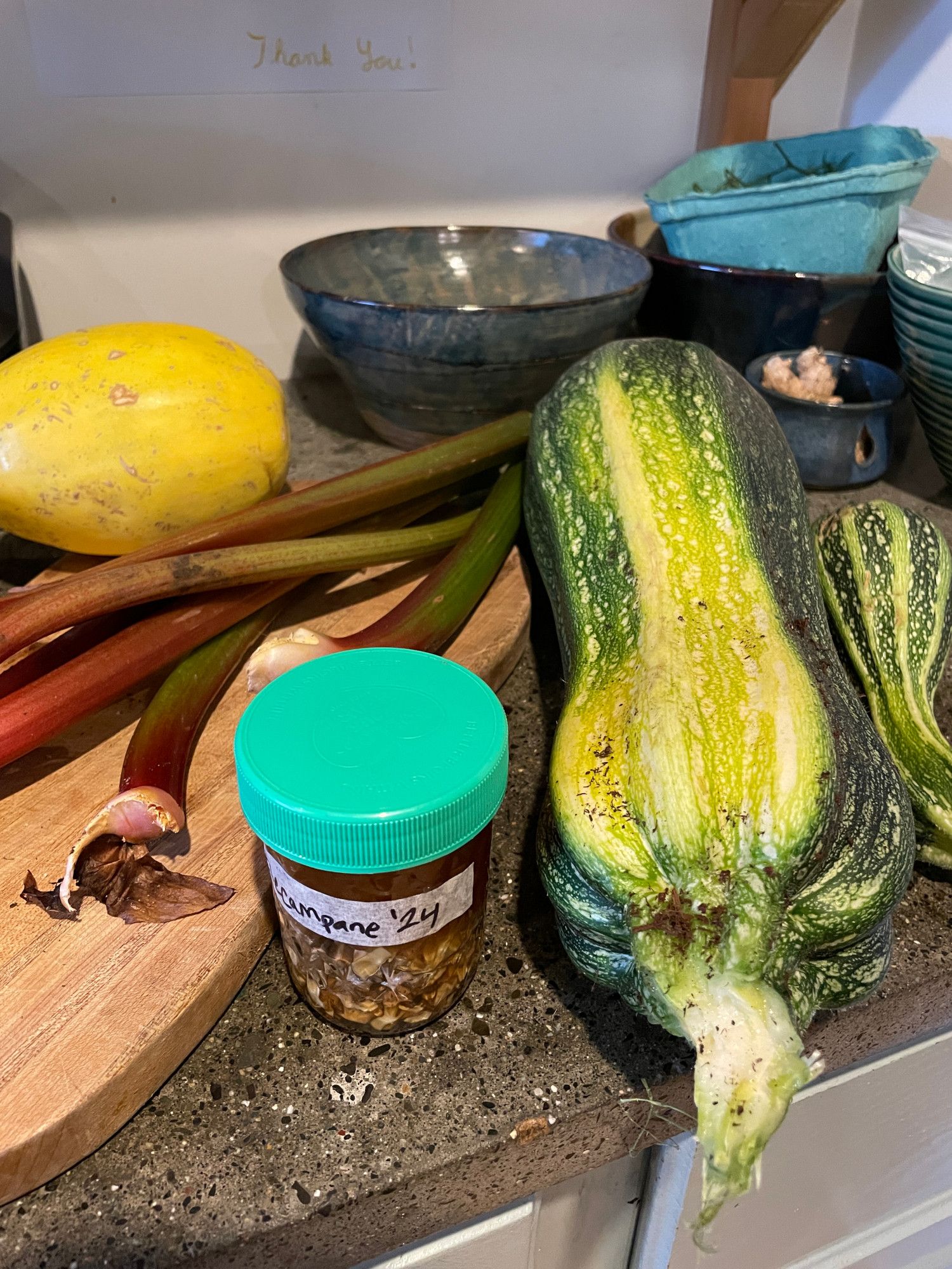 Garden harvest including a yellow squash, rhubarb and two zucchini. Jar labeled "elecampane '24" with chopped elecampane root and honey.