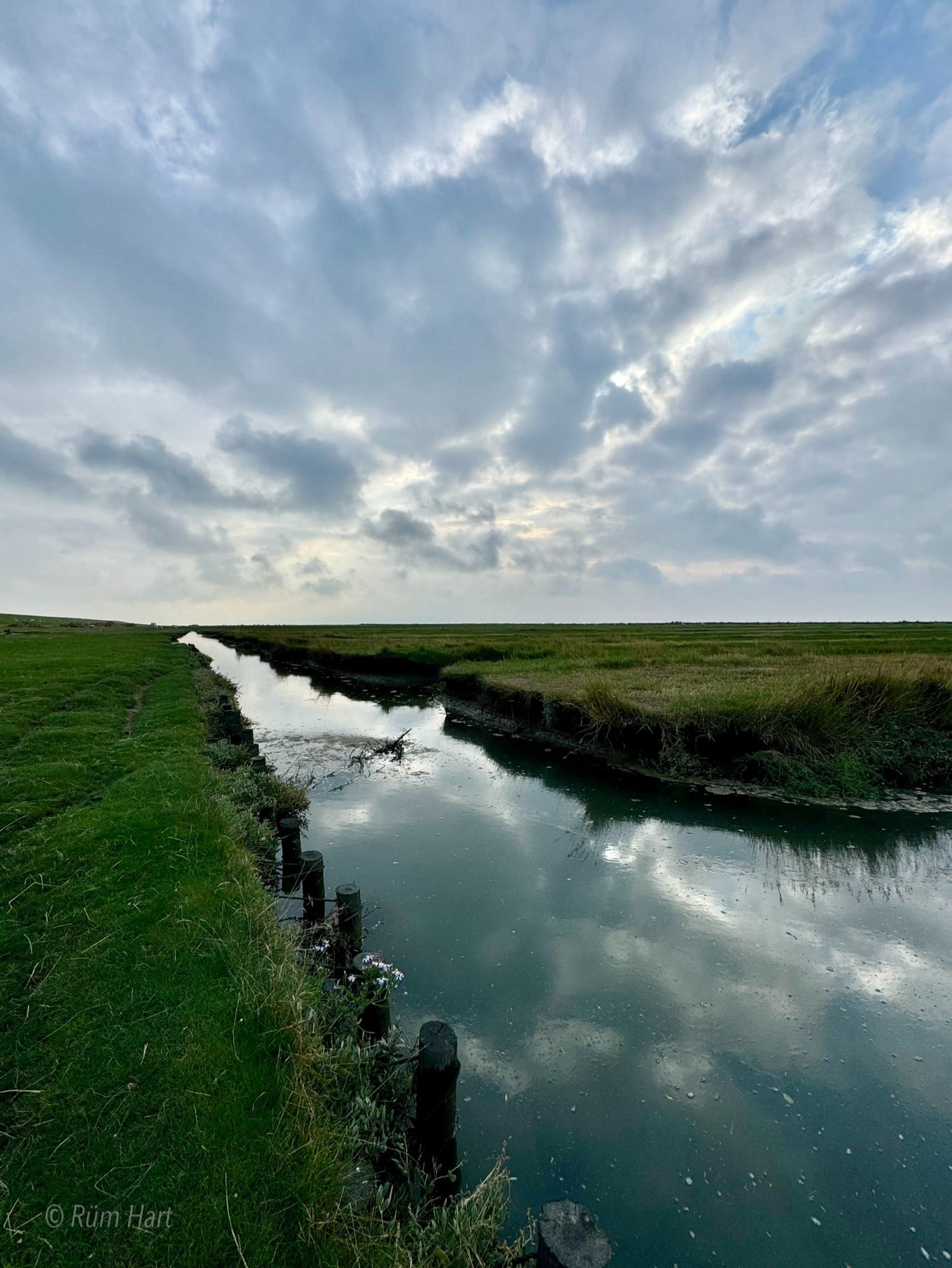 Blick auf einen Graben in den Salzwiesen, der mit Wasser gefüllt ist. Auf der linken Seite im Graben stehen Holzpflöcke. Der Himmel ist grau und bewölkt.