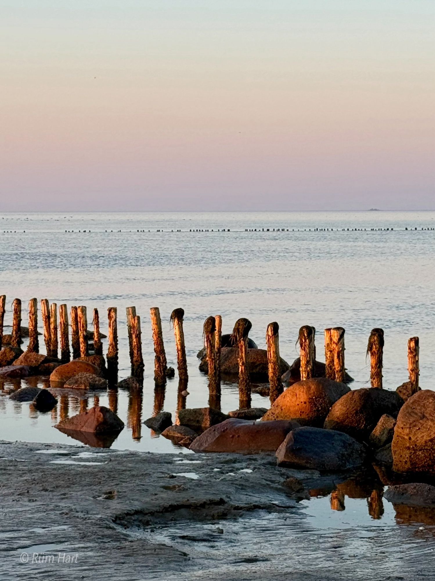 Blick auf Holzpfosten, die teilweise im Meer stehen. Einige große Steine liegen verstreut vor und hinter den Holzpfosten. Im Hintergrund ist das Meer und in weiter Ferne steht eine weitere Buhne, die waagerecht verläuft. Der Himmel ist leicht rosafarben verwischt.