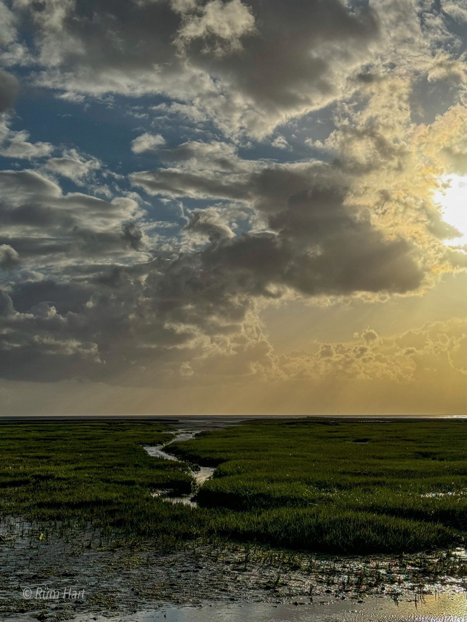 Blick auf die Salzwiesen, ein Priel schlängelt sich durch die Wiese. Links sind graue Wolken am blauen Himmel. Rechts sieht man die Sonne durch die Wolken.