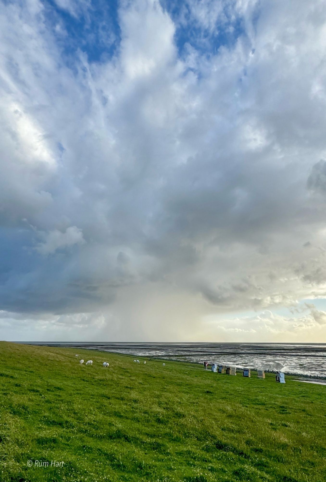 An einem grünen Deich entlang schauend, regnet es am Horizont. Die Wolken und der Regen sehen aus wie ein Pilz. Auf dem Deich stehen Strandkörbe und es grasen Schafe.