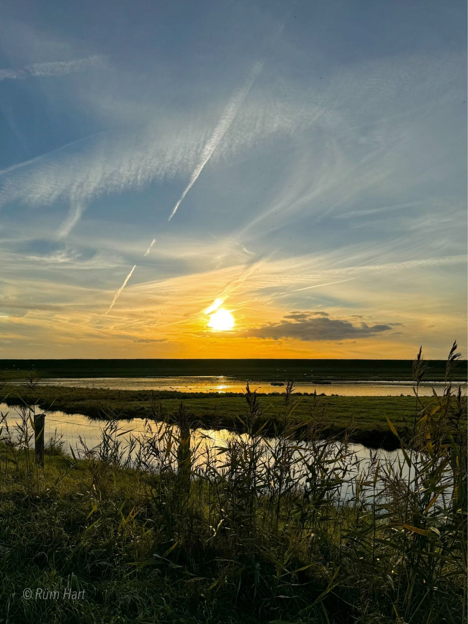 Blick auf ein Gewässer, im Vordergrund stehen Gräser, dahinter ist ein Zaun. In der Mitte des Gewässers ist eine Grasfläche. Wolken sind am blauen Himmel zu sehen und die Sonne scheint. Teilweise spiegelt sich die Sonne im Wasser wider.