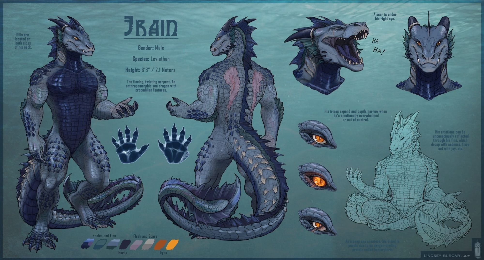 A reference sheet for a blue anthropomorphic dragon named "Jrain" by Lindsey "This" Burcar. He is a leviathan with a dark blue chest and light blue scales along the rest of his body. He has yellow eyes and teal fins on his elbows and ankles. There is a front and back view of him; two headshots with one facing forward and the other laughing; a sketch of him sitting down meditating; a hand and foot print; and, lastly, three close-ups of his eyes that show them normal, then expanding when he's angry, and then with his nictating membrane gliding over his eye.