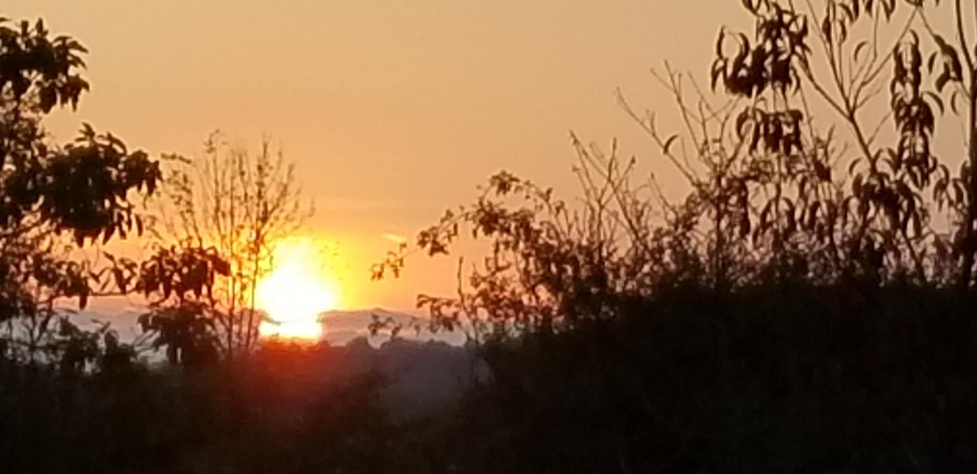 Sunset behind hills with brush in foreground