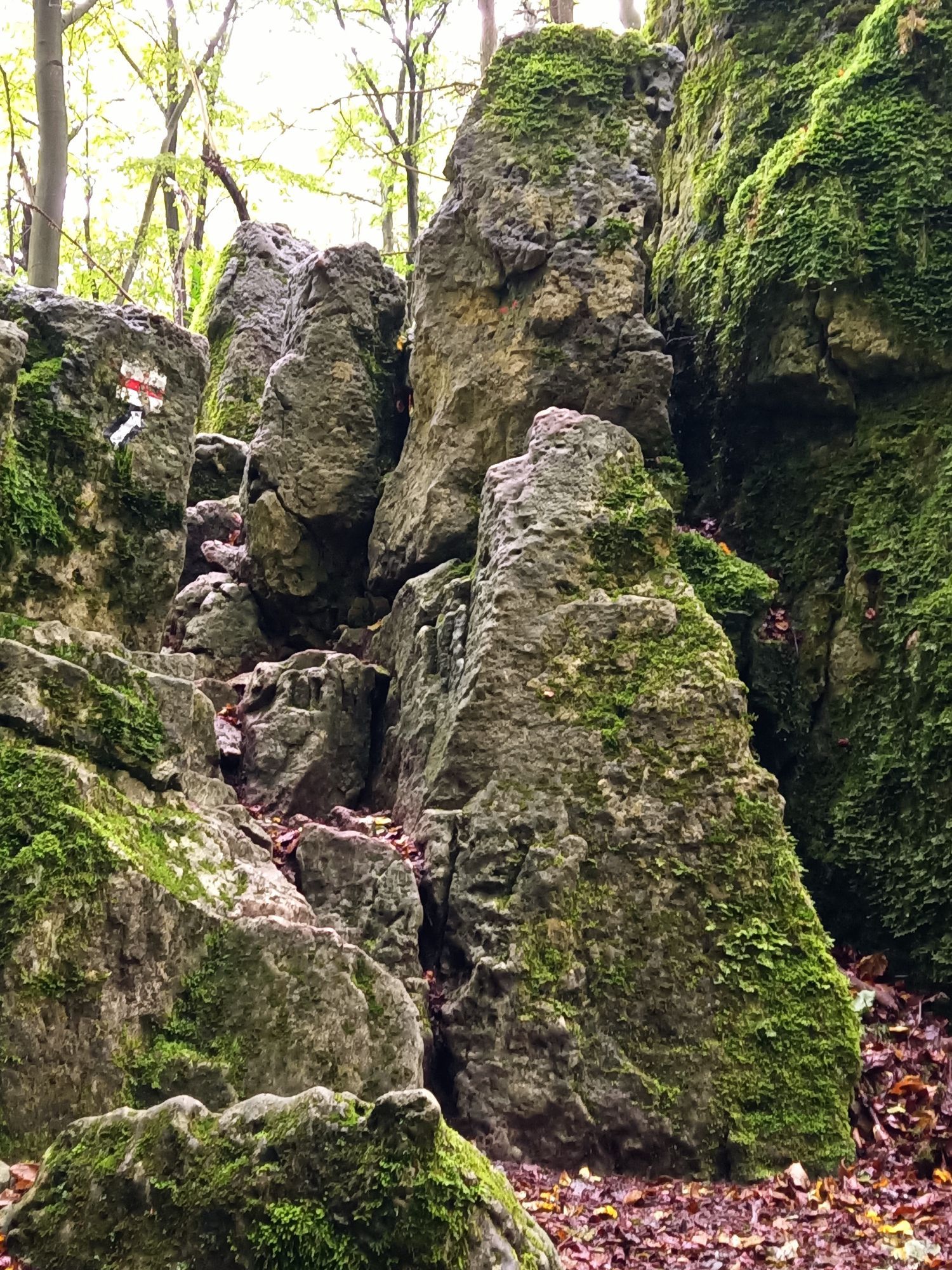 Westeinstieg in den Eibgrat.Felsige Landschaft.