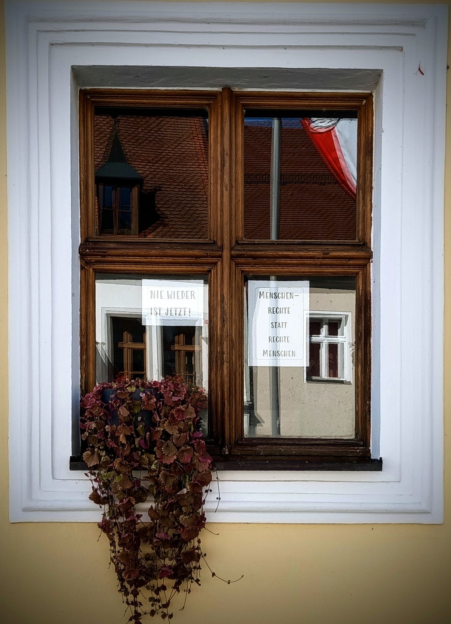 Rechteckiges Fenster,weißer Rahmen,Holzfensterkreuz,eine Topfhängepflanze links auf der Fensterbank,in den Scheiben spiegelt sich die gegenüberliegende Fensterfront.Es ist sehr sonnig.H8nter der Fensterscheibe zwei weiße Zettel beschriftet mit:
Nie wieder ist jetzt!
Menschenrechte statt rechte Menschen