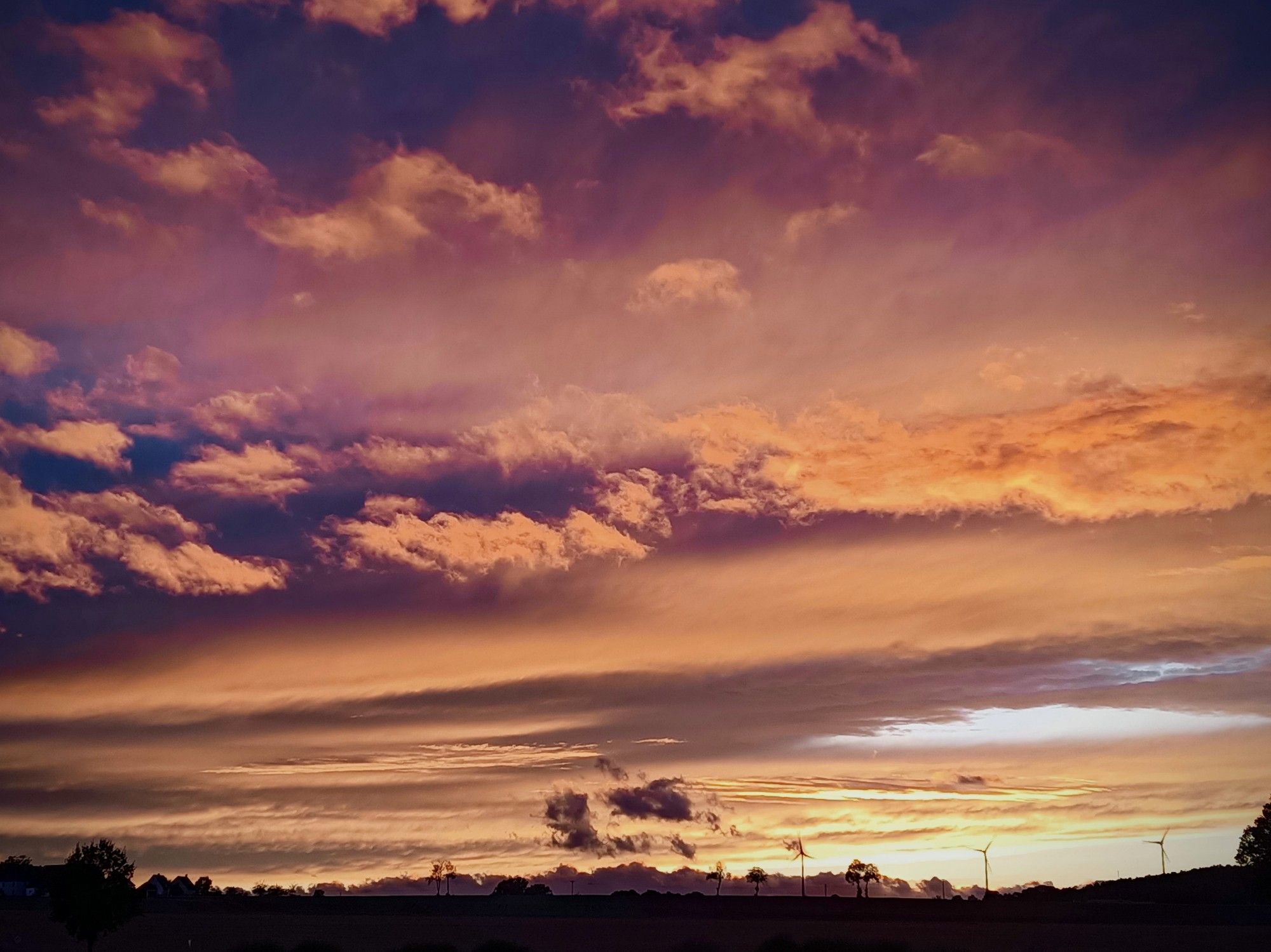 Schwarze,schmale Silhouette von Bäumen, Windrädern.Darüber ein golden,roter,oranger, dunkellila Himmel mit Wolken und einem sehr hellen Sonnenstreifen noch über den Windrädern