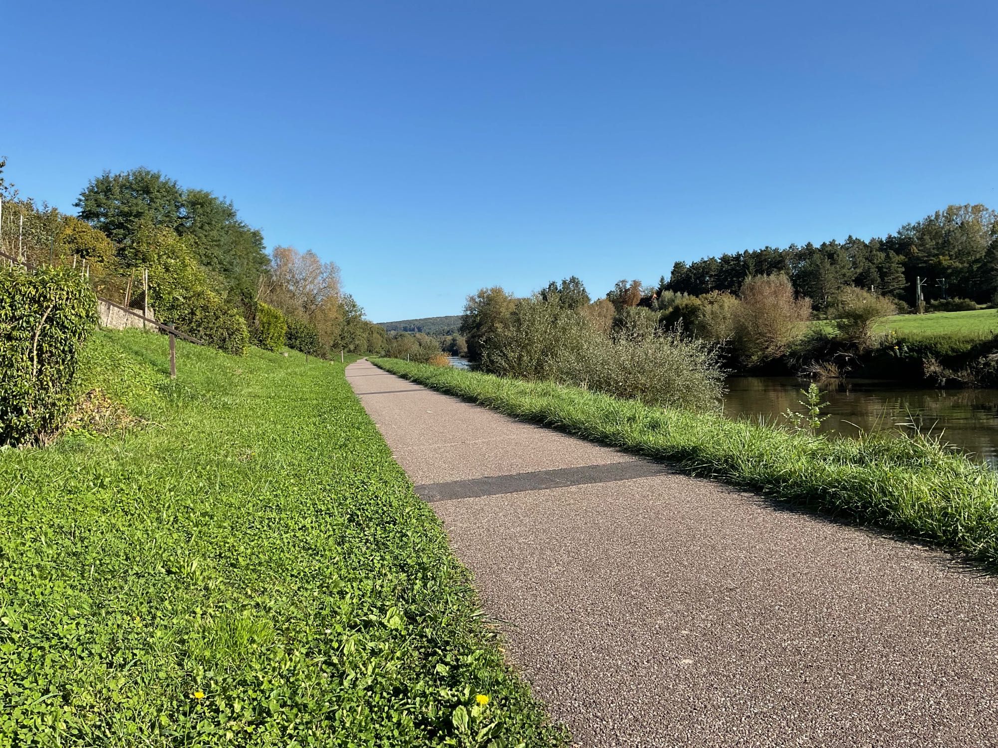 Foto, geschossen am Gehweg links neben der Saar. Diese ist gerade so zu erkennen. Am Fluss entlang befinden sich Büsche und Bäume, direkt vor dem Betrachter befindet sich Grünfläche neben dem Weg, sowie ebenfalls einige Büsche und Bäume. Der Himmel ist wolkenlos blau.