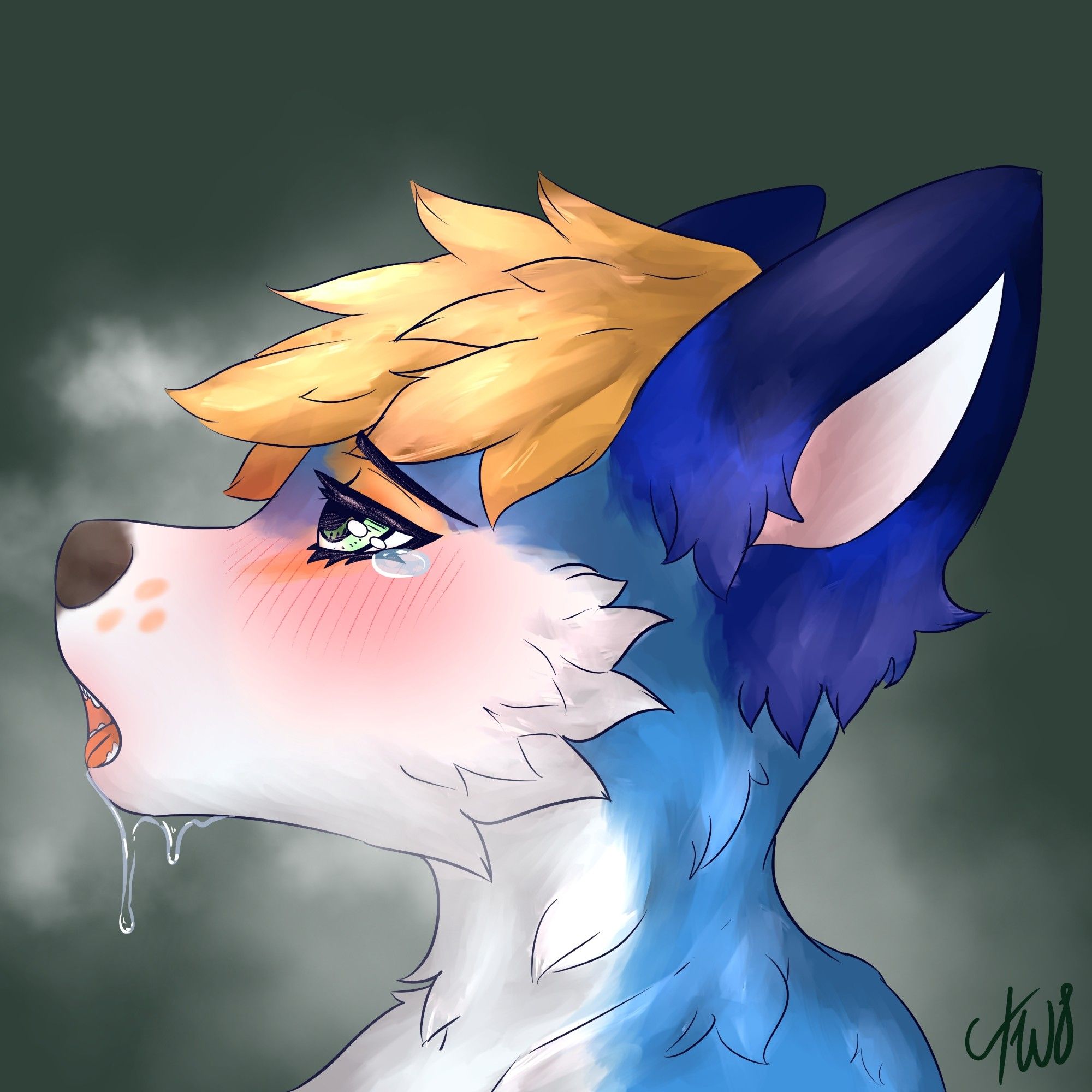 Blue anthro fox drooling