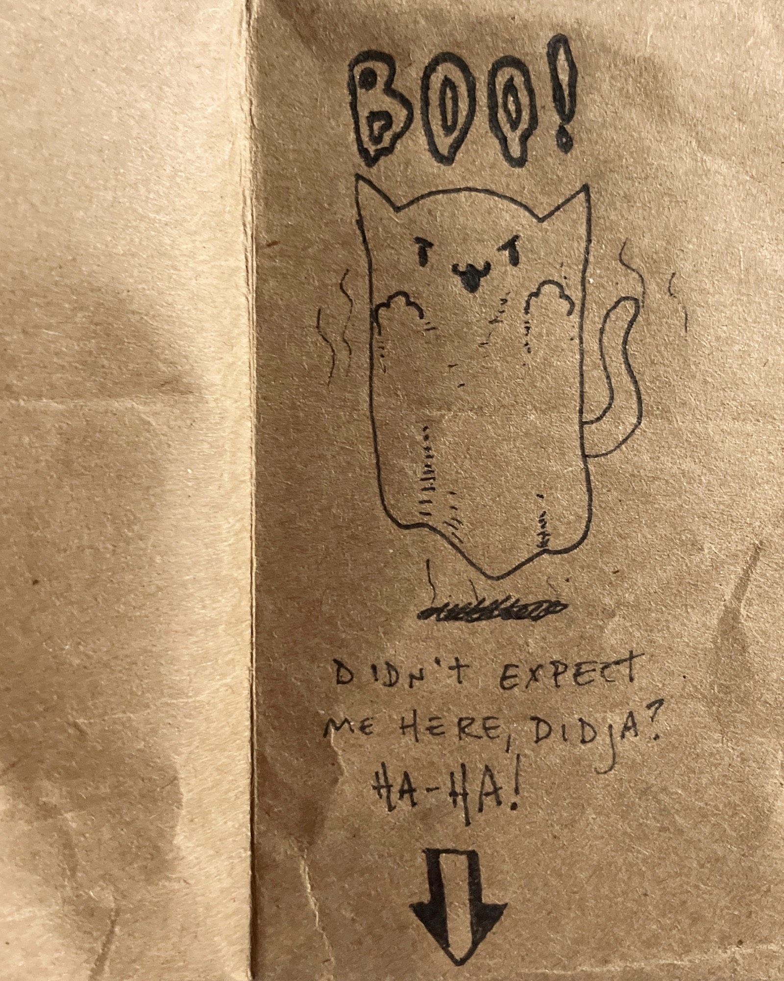 Art of a cat ghost with BOO! above its head and below, the phrase: Didn’t expect me here, didja? Ha-ha!