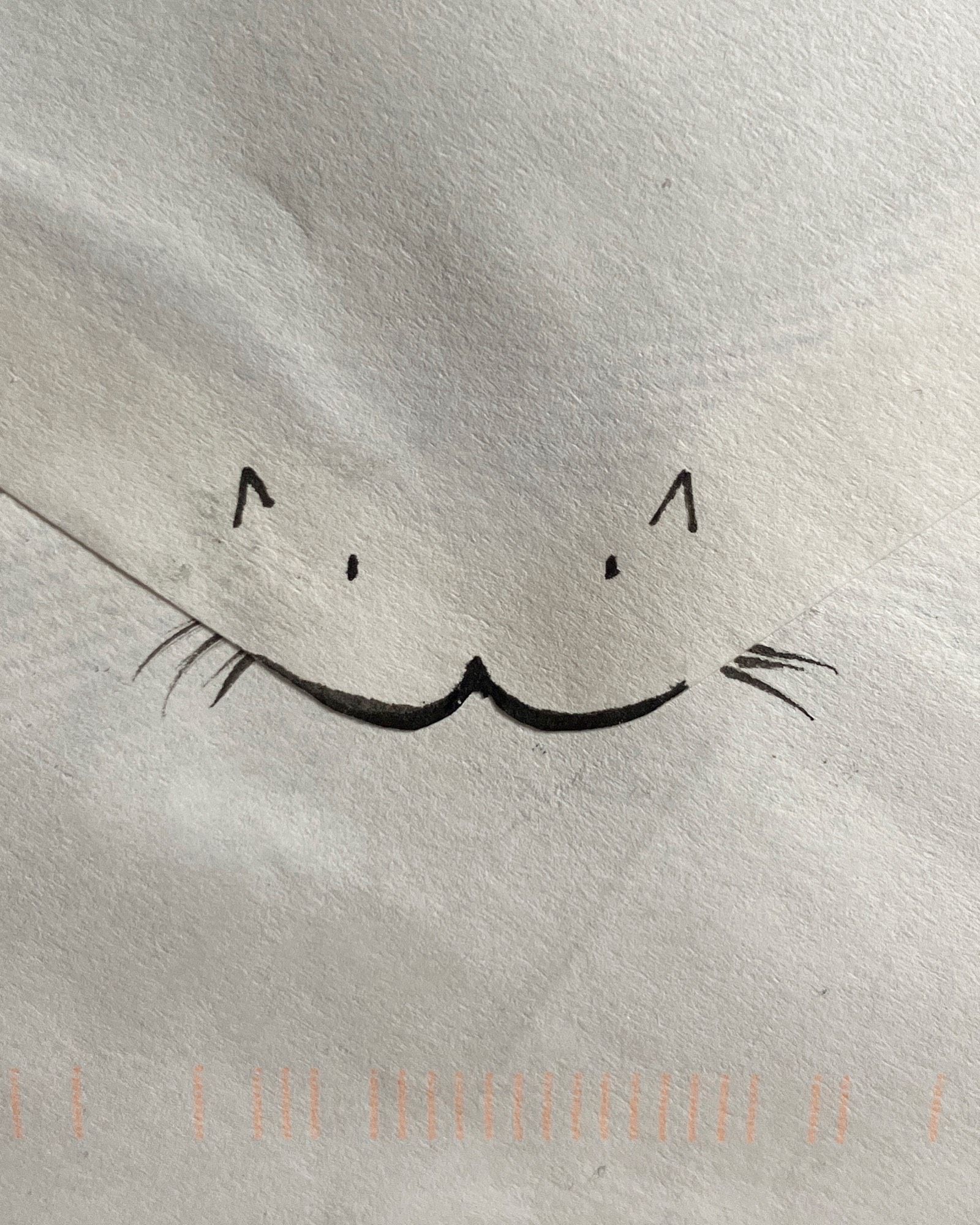 Simple cat face doodle at the tip of an envelope flap.