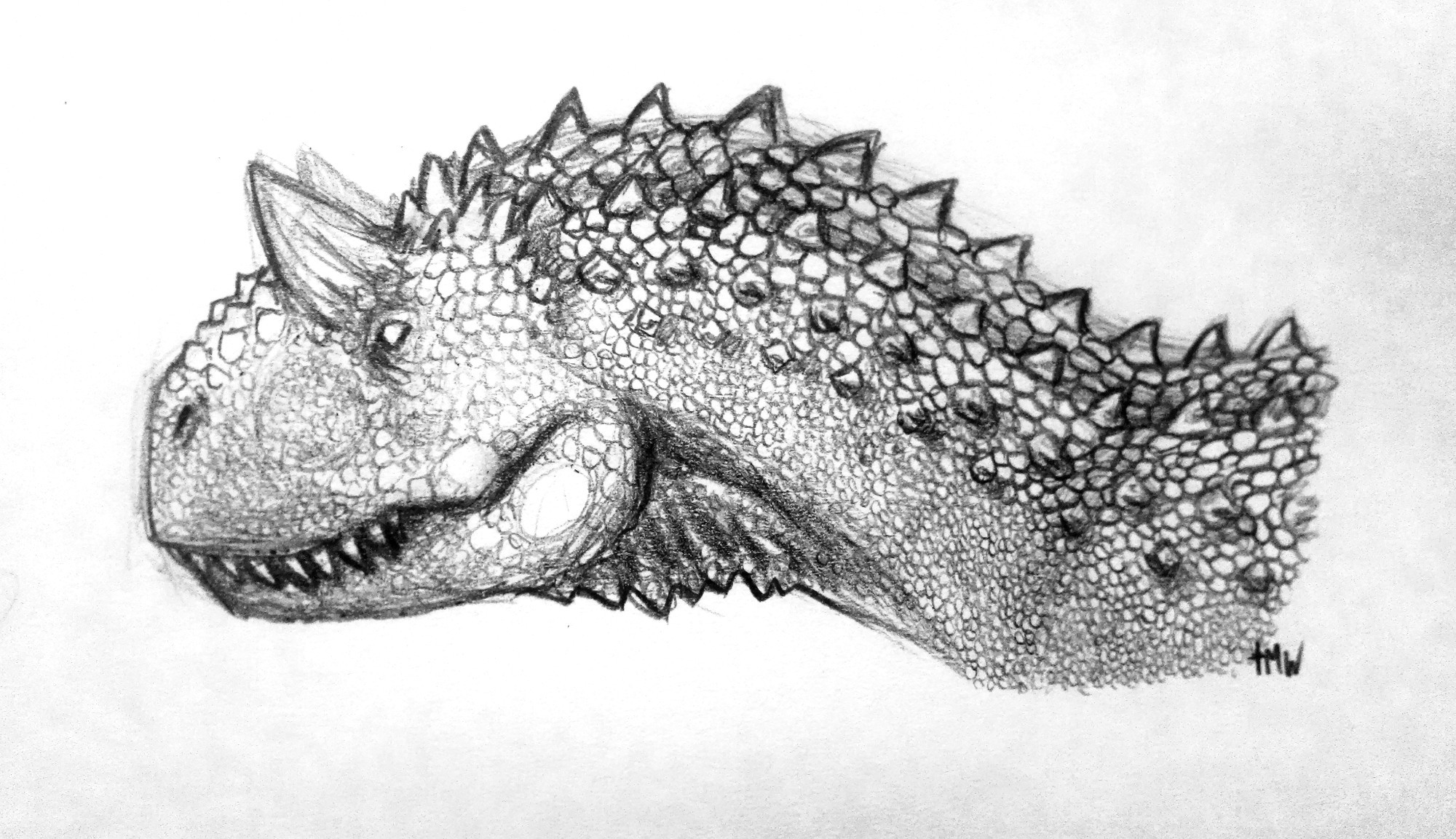 A traditional drawing of a Carnotaurus, its body lined with scutes and knobs.