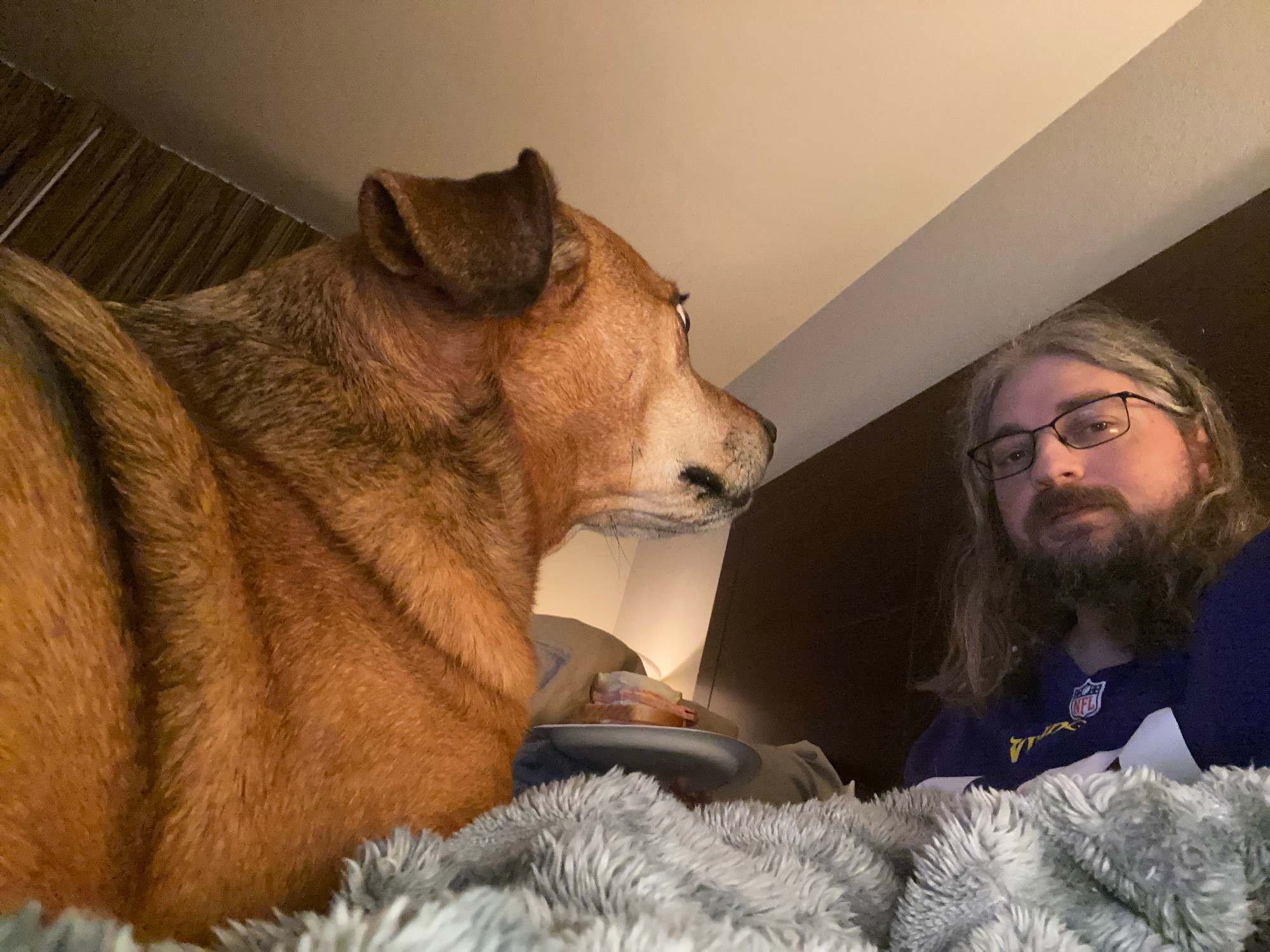 A reddish brown dog stares deeply at a disheveled man sitting on a bed. In the background, the man is holding a plate with a bologna sandwich on it.