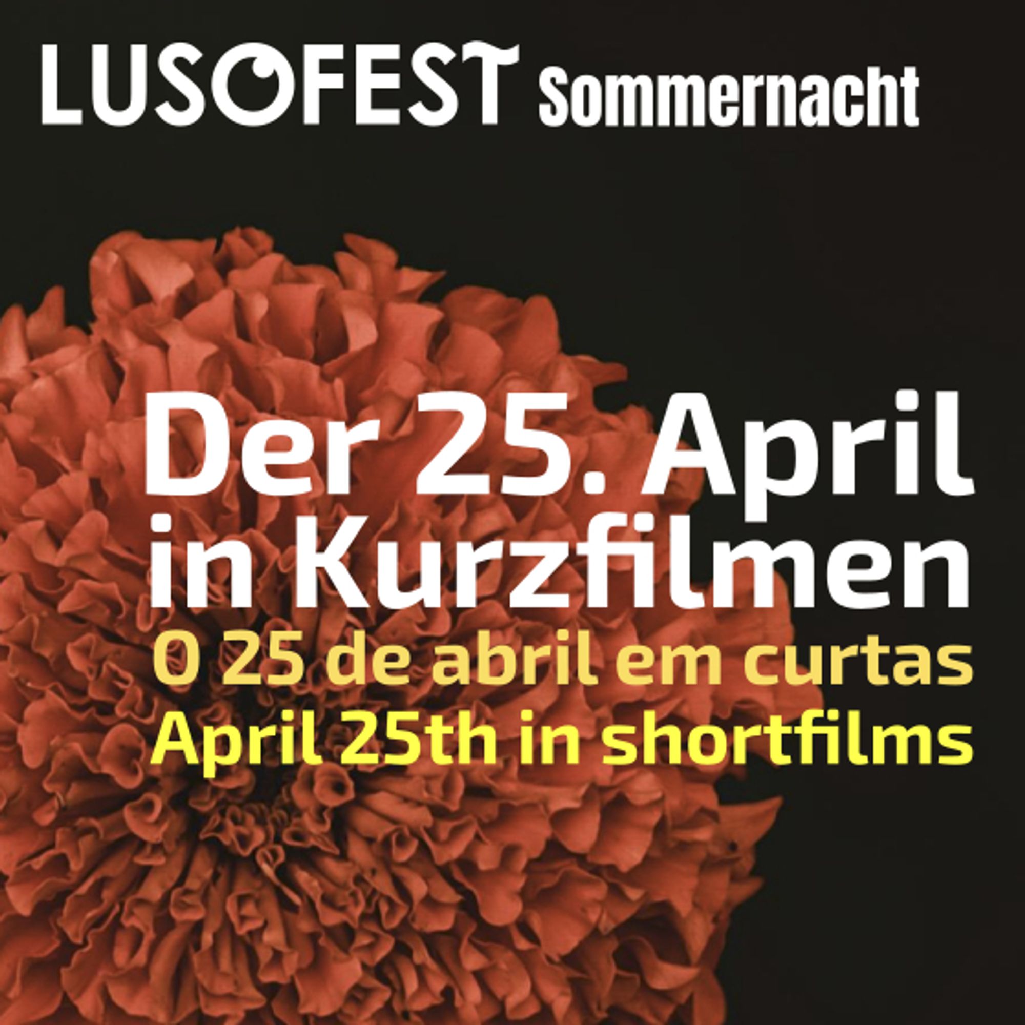 Flyer der Lusofest Sommernacht am 23. August. Man sieht den Titel "Der 25. April in Kurzfilmen" in drei Sprachen sowie eine von oben aufgenommene Nelke.