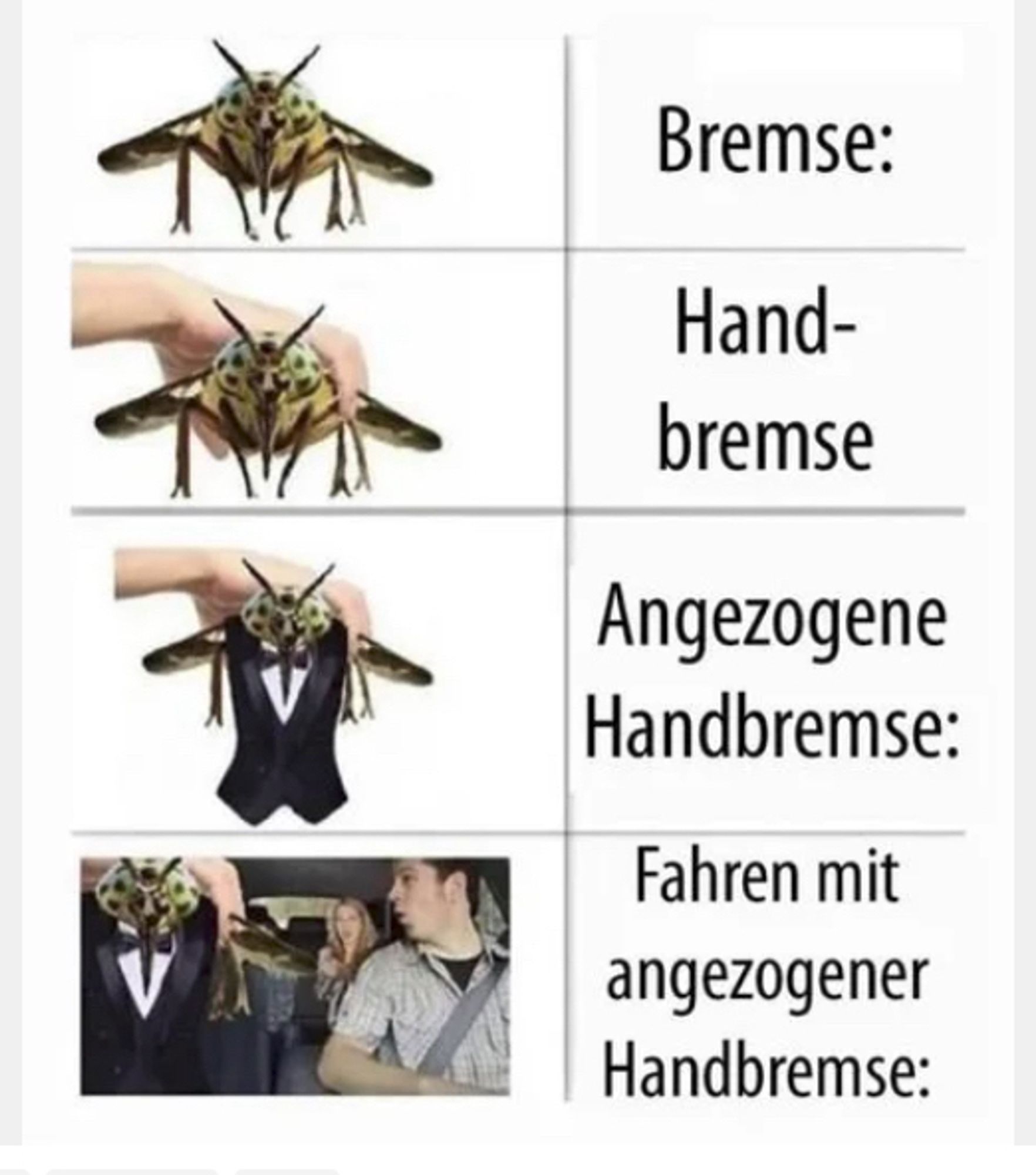 Bremse (Insekt) mit Hand->Handbremse
Bremse mit Hand & Weste->angezogene Handbremse
Bremse angezogen mit Hand in Auto->Fahren mit angezogener Handbremse