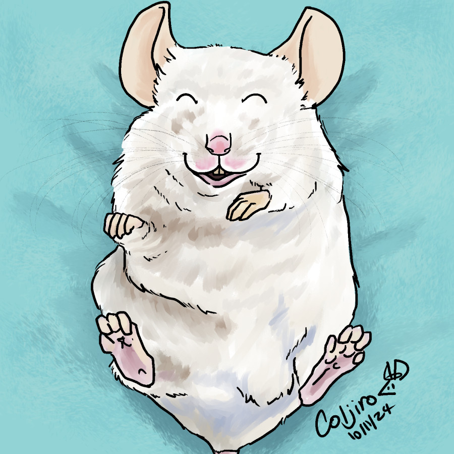 A cute white mouse on a light blue bed, smiling while lying down with its paws in the air.