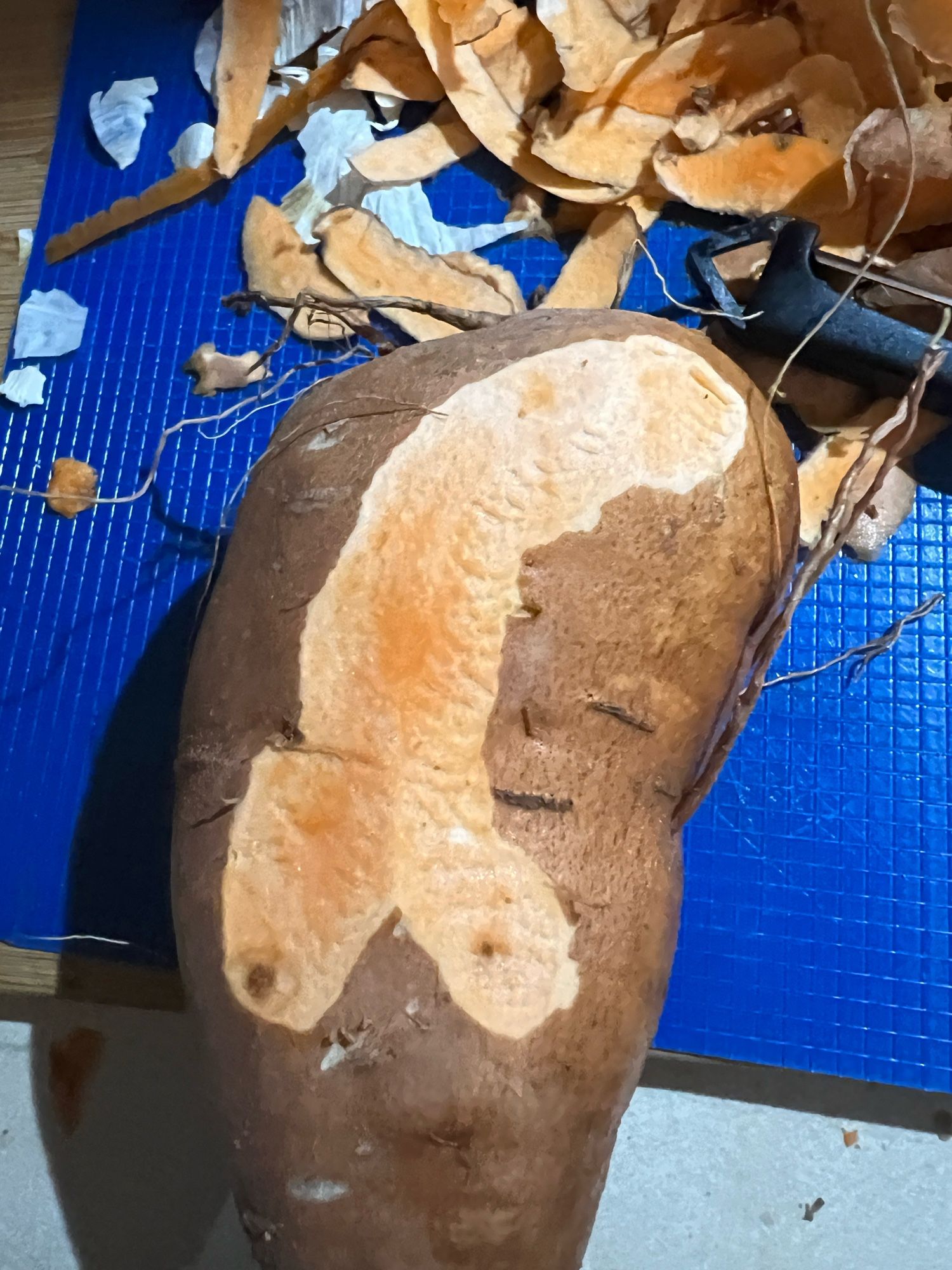 A partially skinned sweet potato where the skinned part has the shape of a penis and balls. It curves to the right.