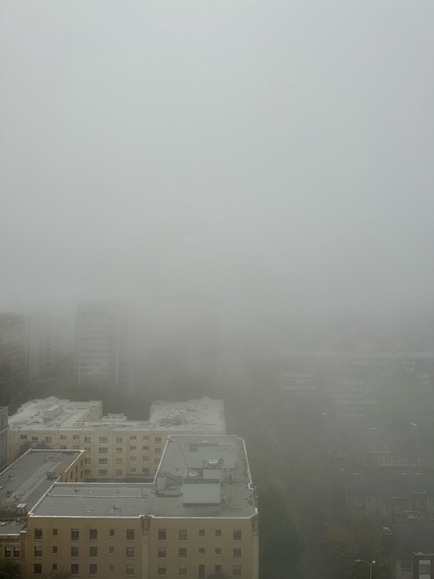 A foggy Seattle morning